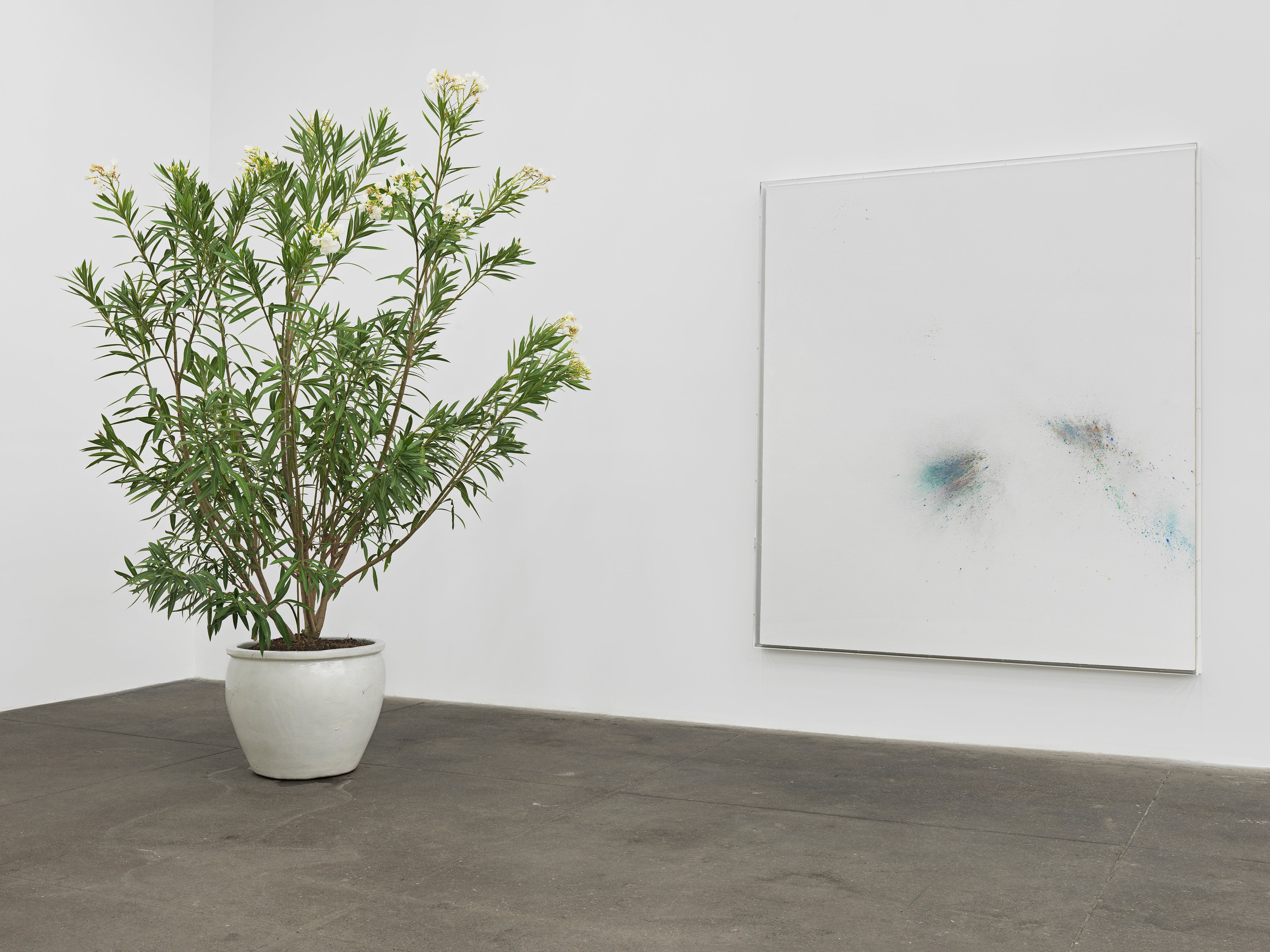 Thilo Heinzmann, Untitled at Bortolami, photo 6