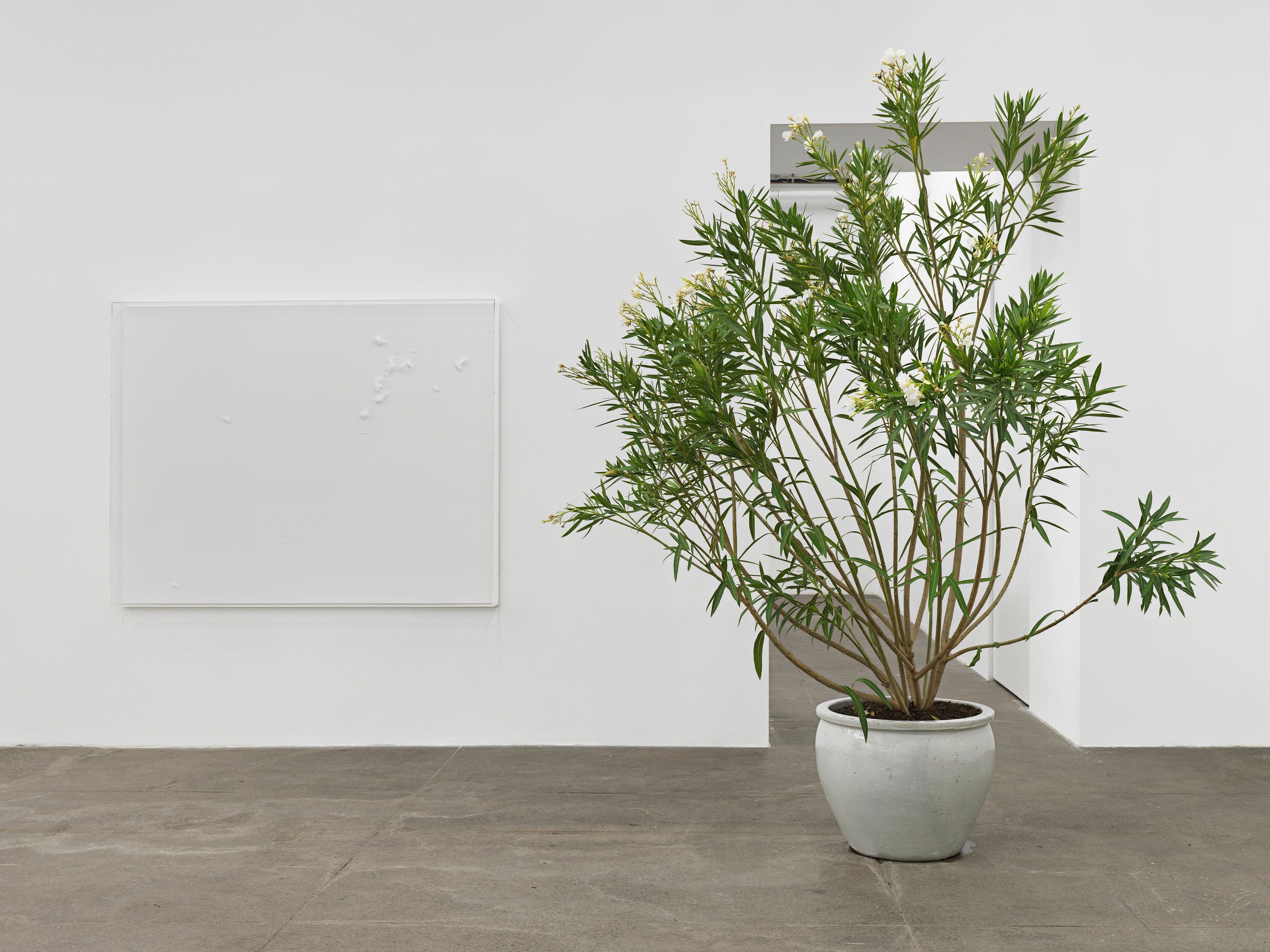 Thilo Heinzmann, Untitled at Bortolami, photo 7