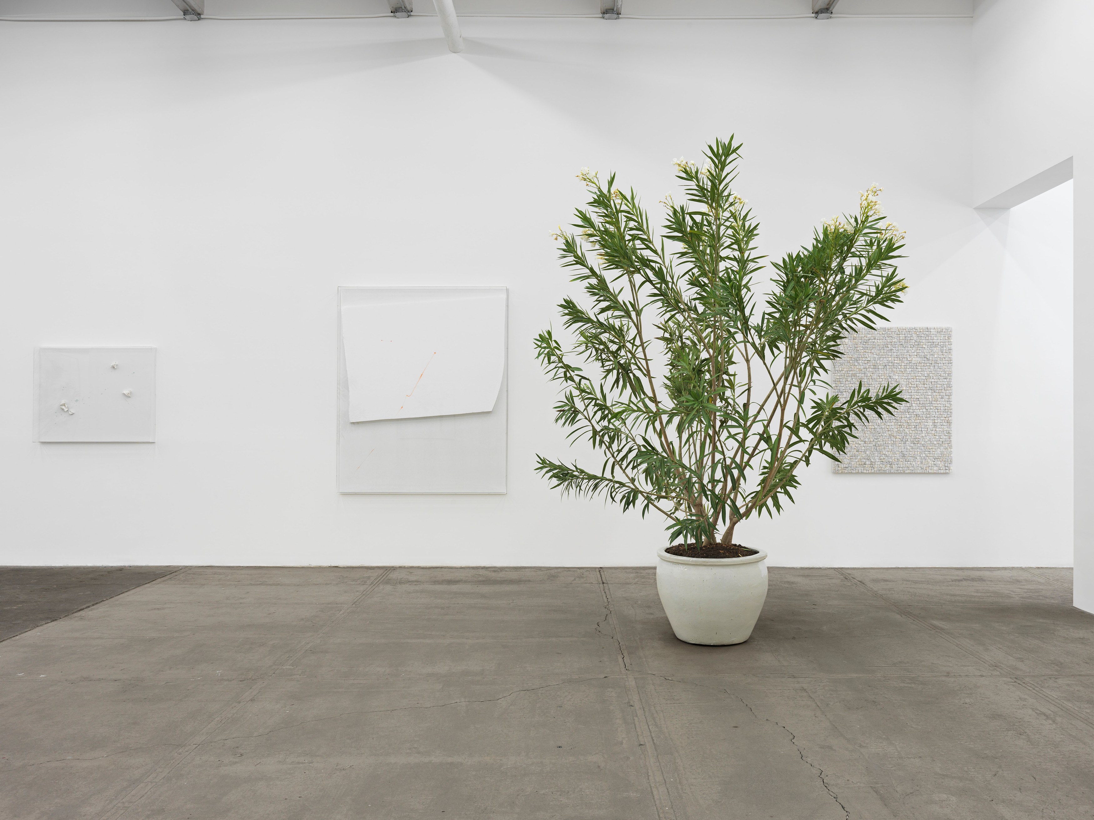 Thilo Heinzmann, Untitled at Bortolami, photo 8