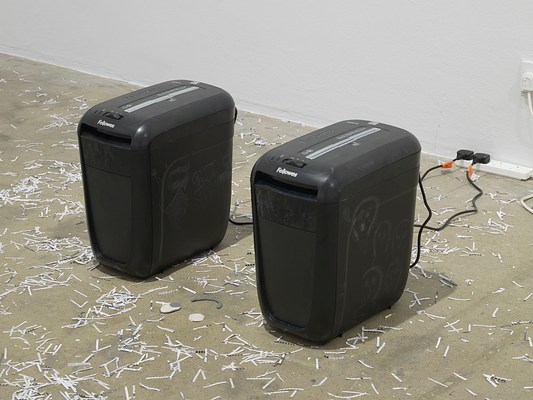 Image 4 of 13
