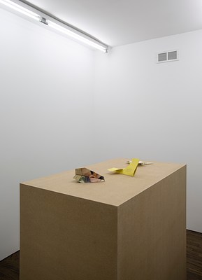 Image 7 of 15