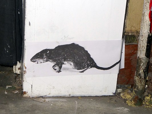 Image 7 of 9
