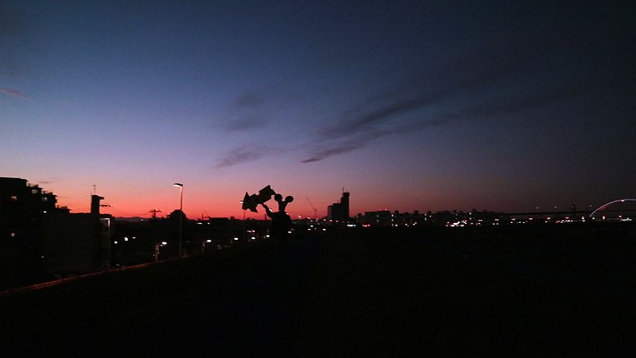 Image 55 of 55