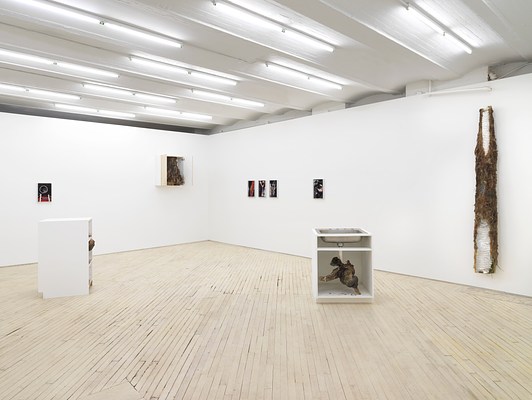 Image 1 of 20