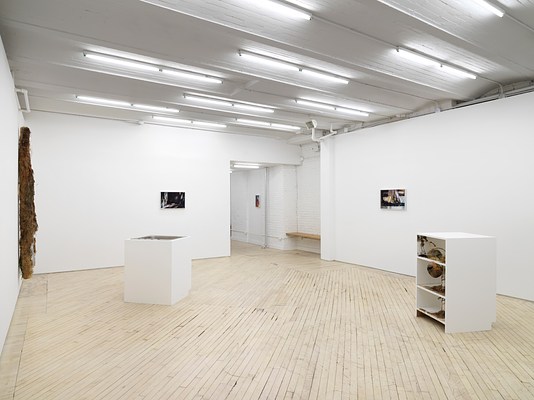 Image 2 of 20