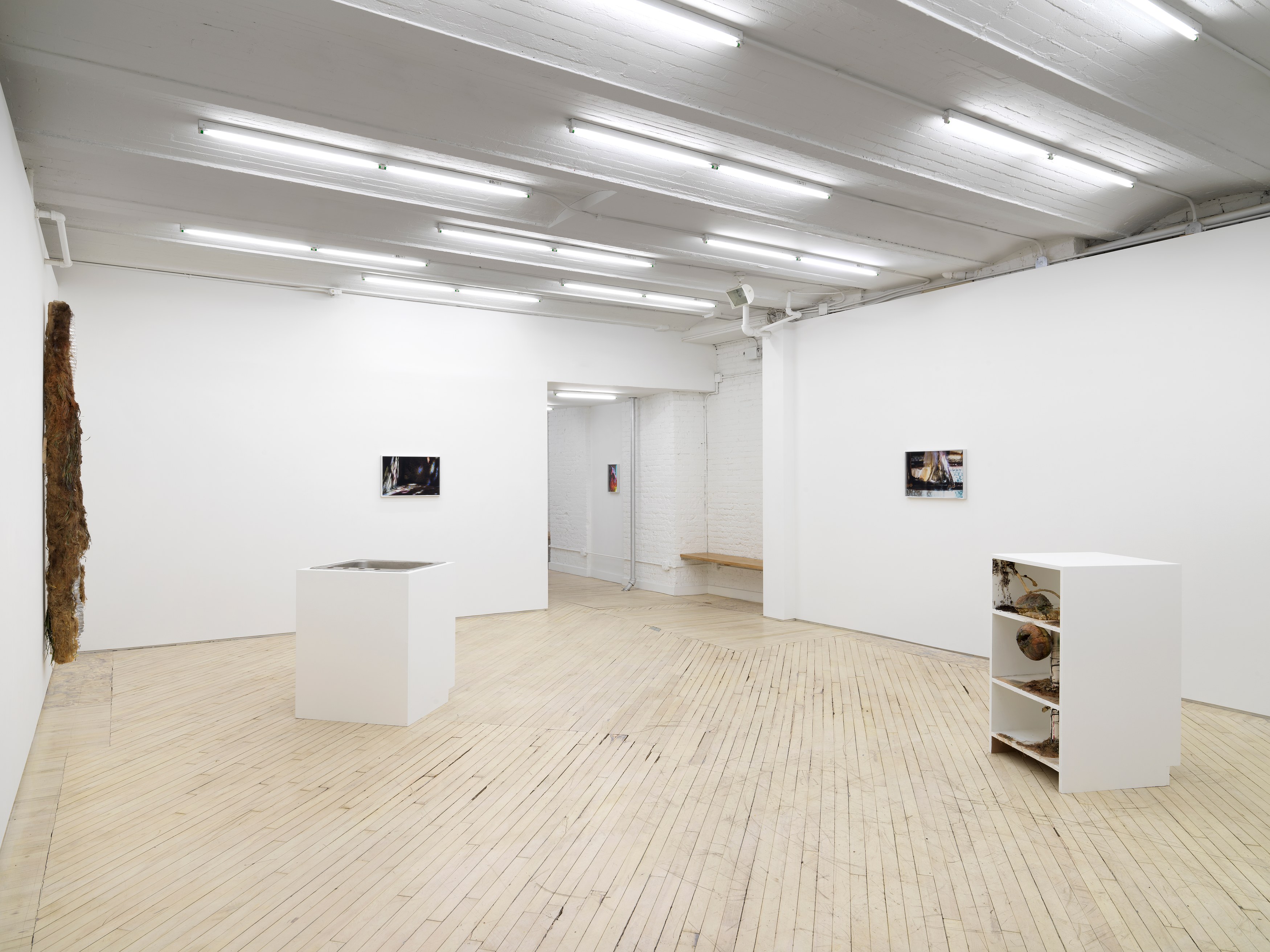 Installation view 2
