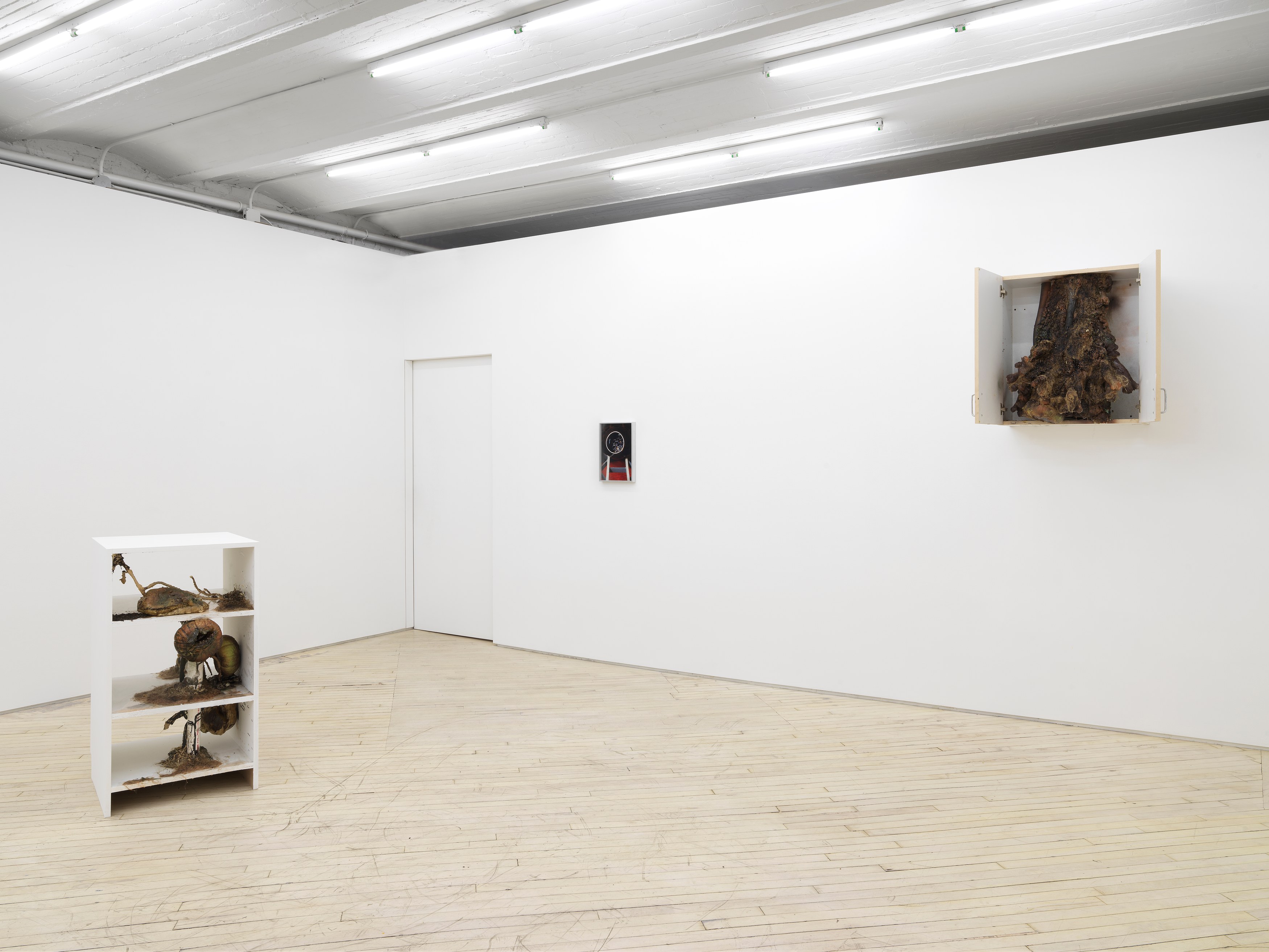 Installation view 3