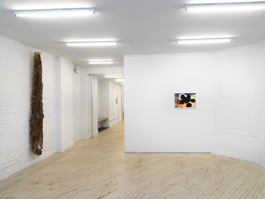 Image 4 of 20