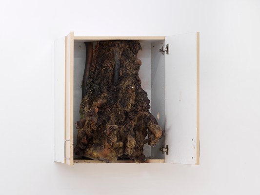 Image 7 of 20