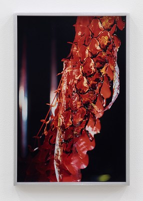 Image 18 of 20