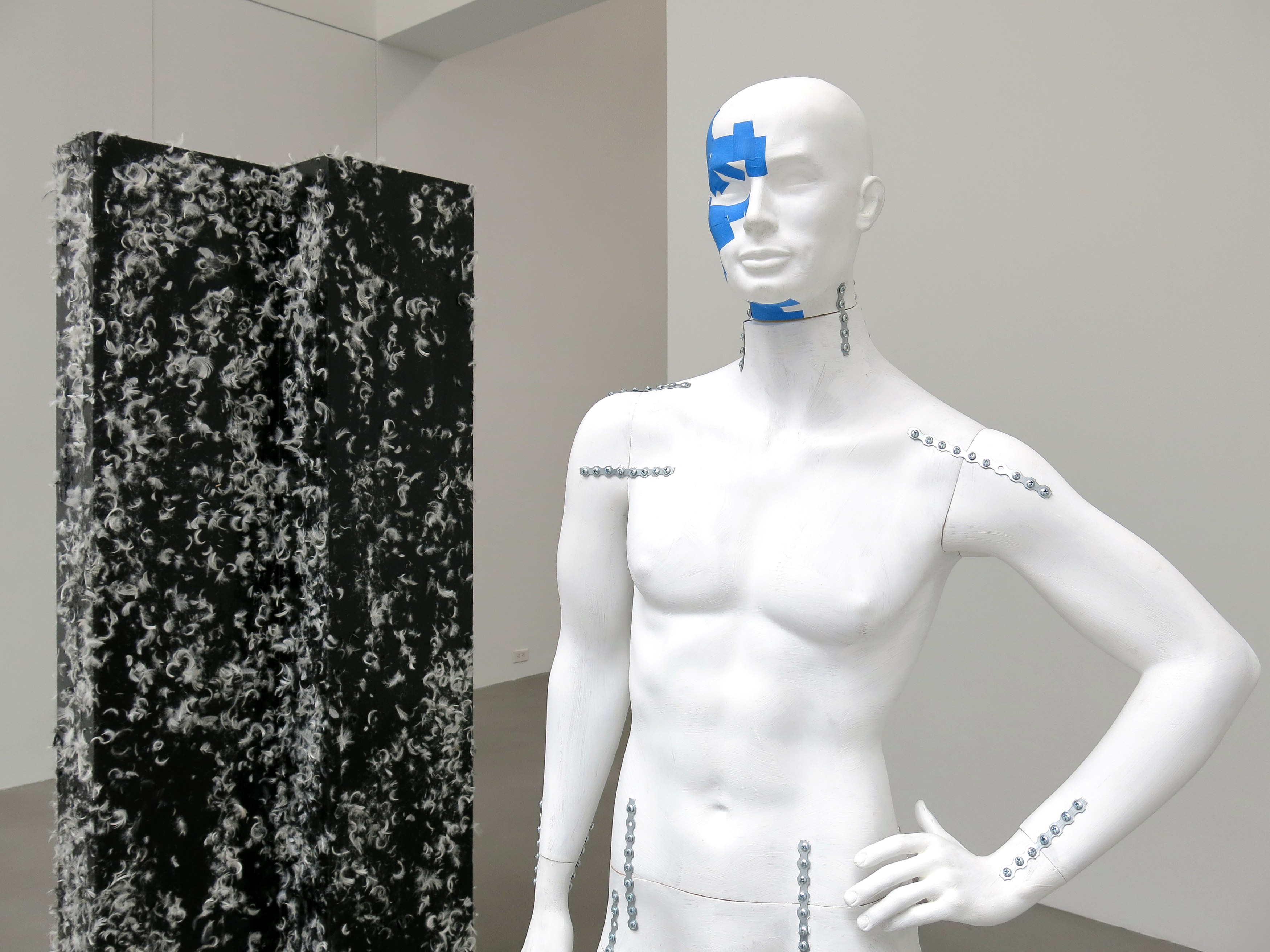 Heimo Zobernig, Untitled at Petzel, photo 38