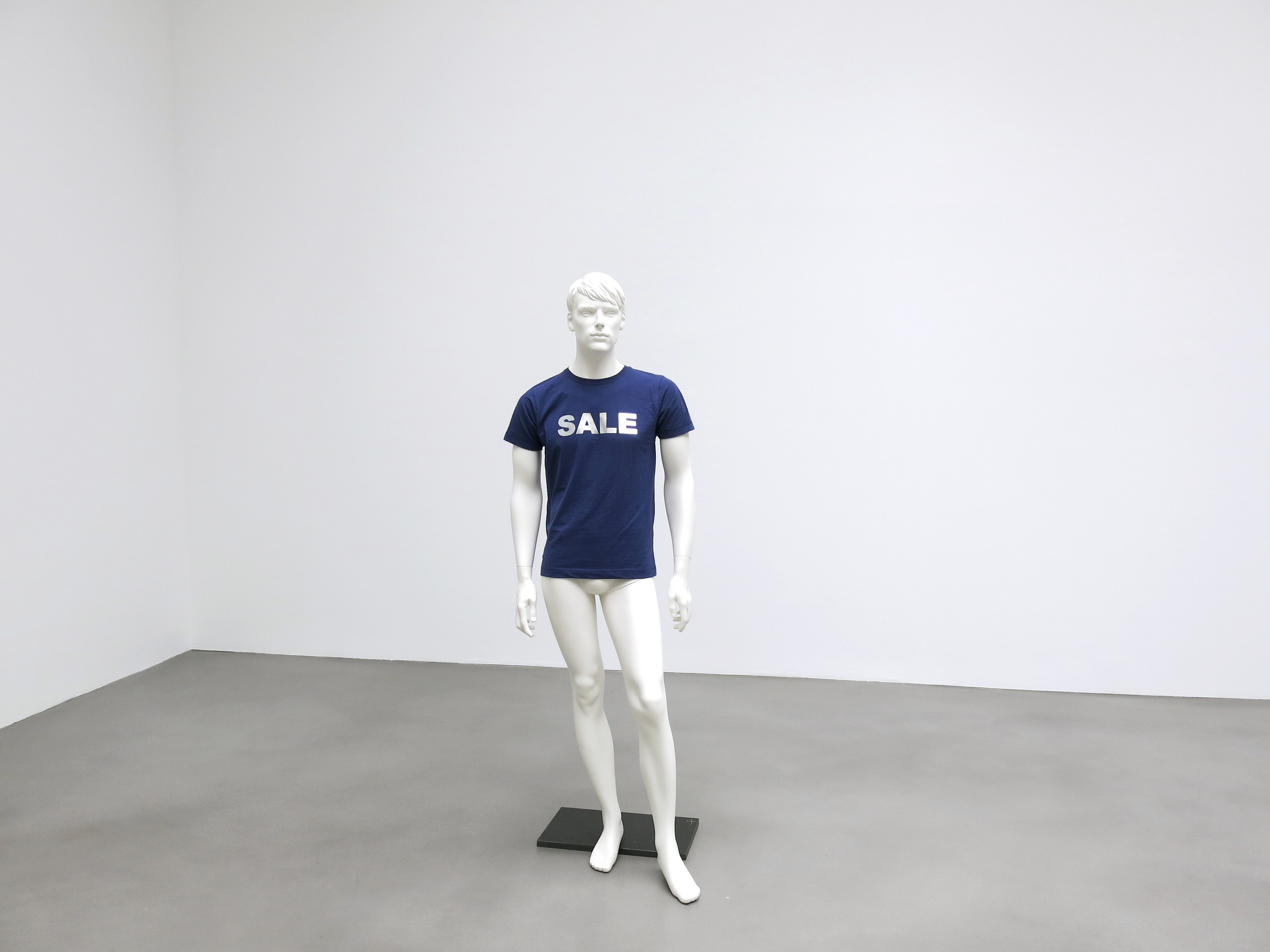 Heimo Zobernig, Untitled at Petzel, photo 37