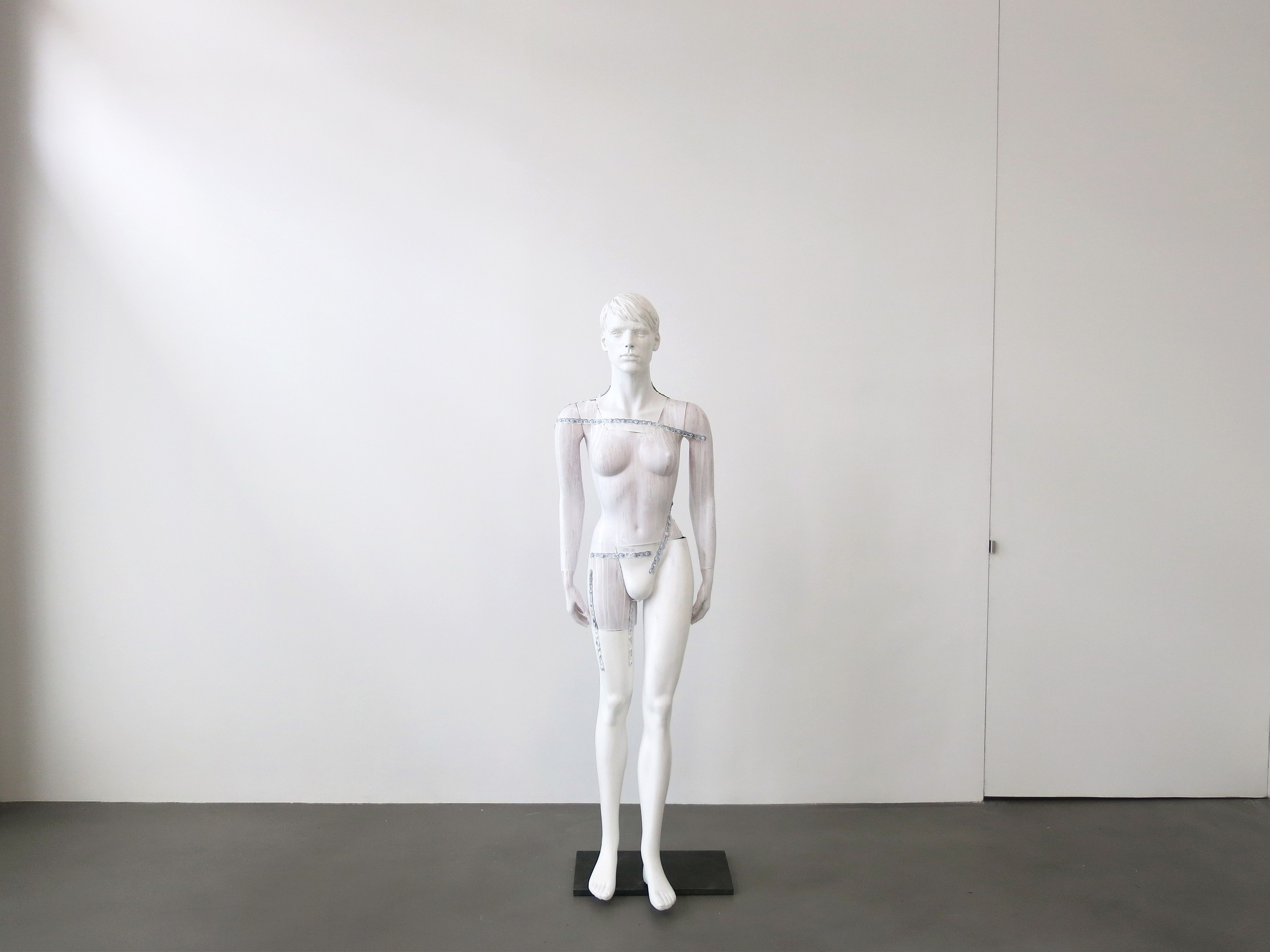 Heimo Zobernig, Untitled at Petzel, photo 41