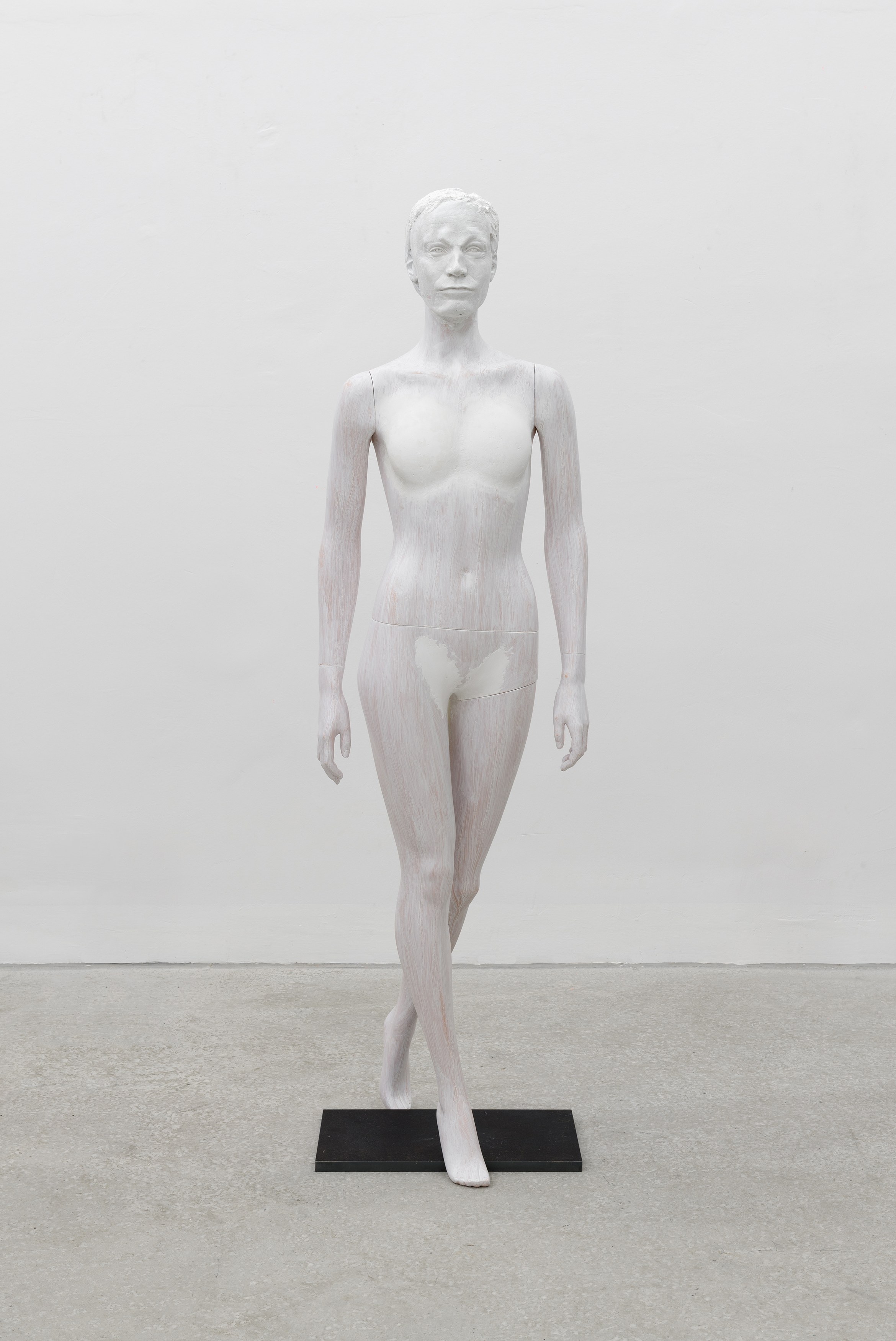 Heimo Zobernig, Untitled at Petzel, photo 43