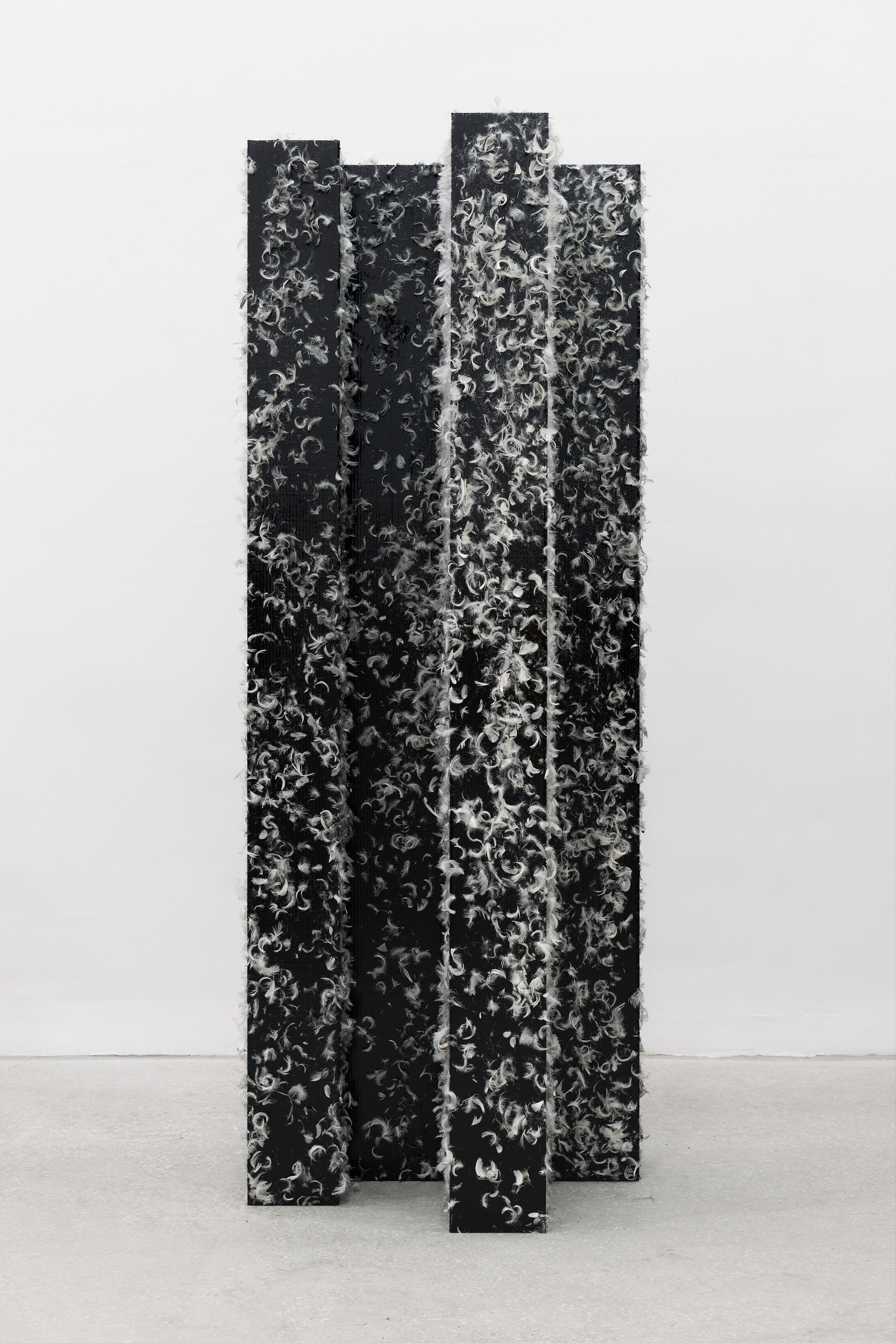 Heimo Zobernig, Untitled at Petzel, photo 46