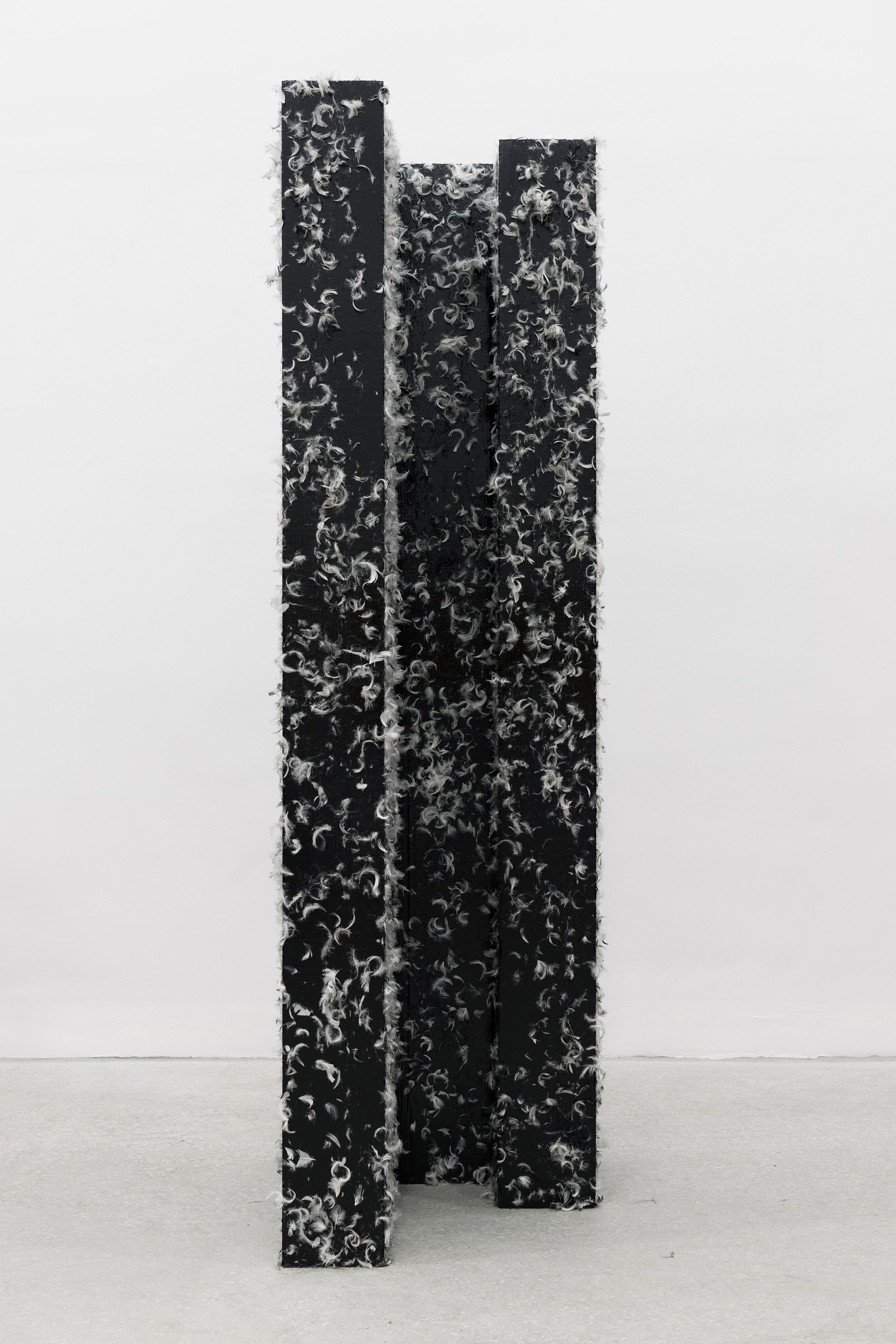 Heimo Zobernig, Untitled at Petzel, photo 47