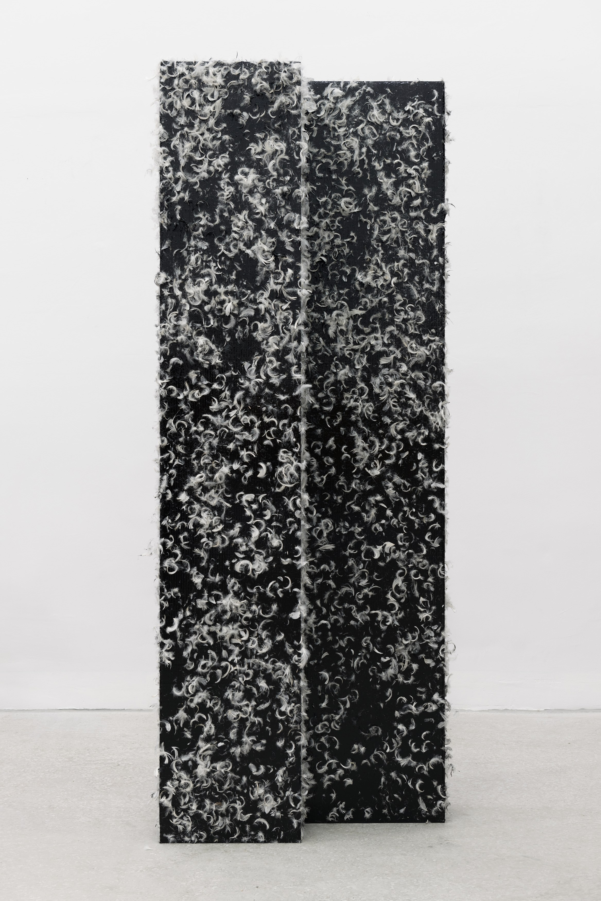 Heimo Zobernig, Untitled at Petzel, photo 48