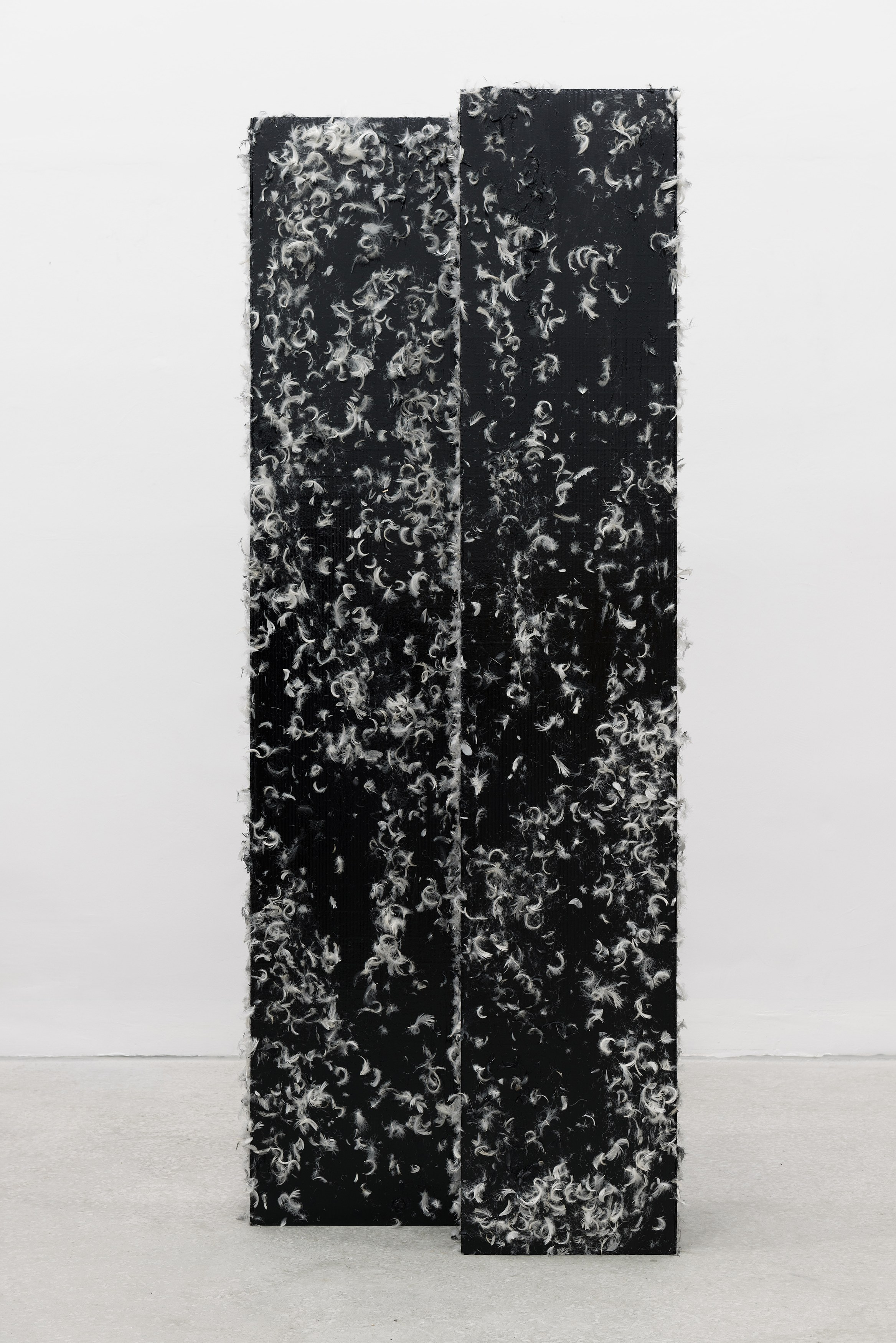 Heimo Zobernig, Untitled at Petzel, photo 49