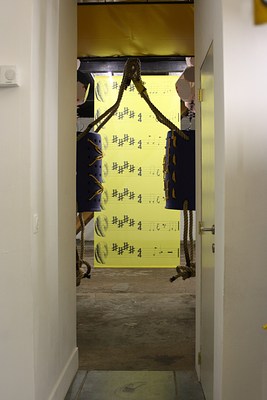 Image 1 of 19