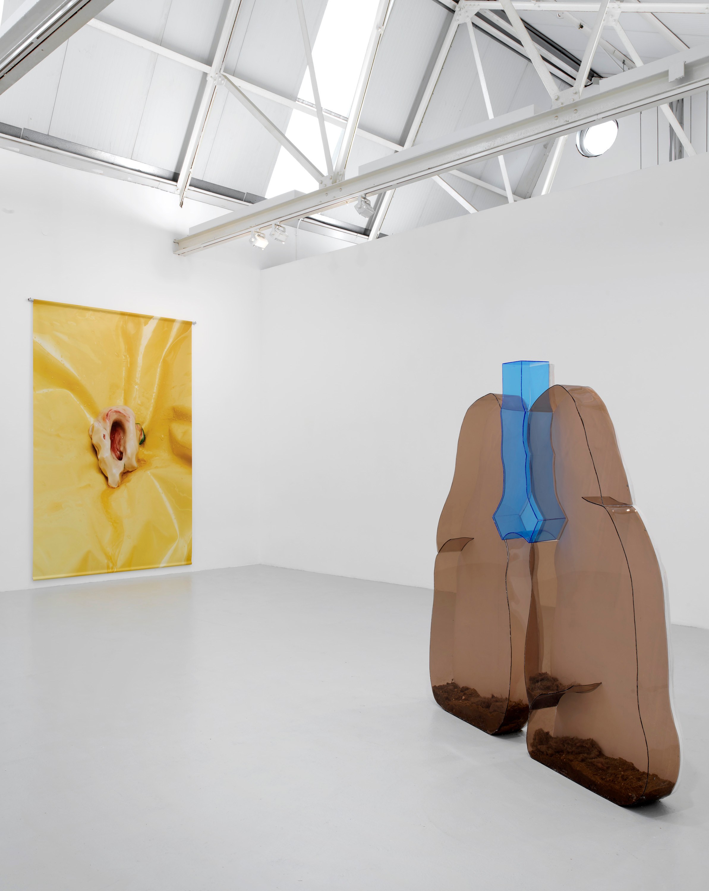 Guendalina Cerruti, Zoe Williams, Playful Agressions at greengrassi & Corvi-Mora, London, photo 3
