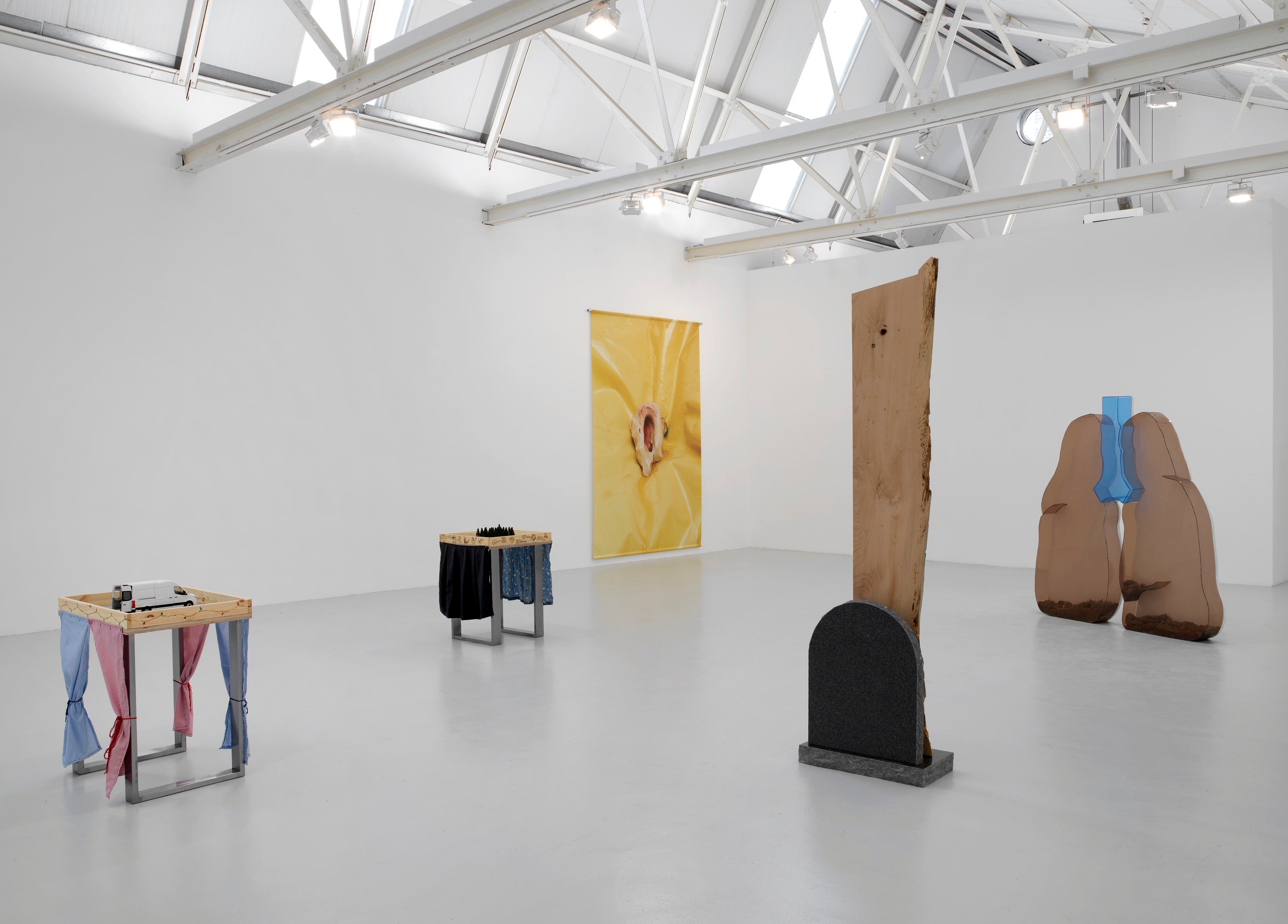 Guendalina Cerruti, Zoe Williams, Playful Agressions at greengrassi & Corvi-Mora, London, photo 7
