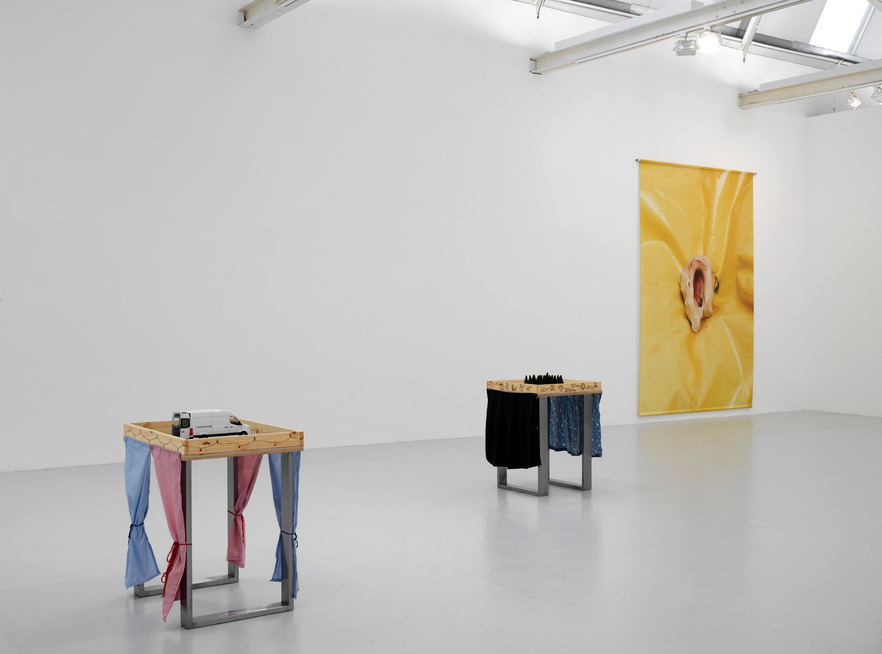 Guendalina Cerruti, Zoe Williams, Playful Agressions at greengrassi & Corvi-Mora, London, photo 11