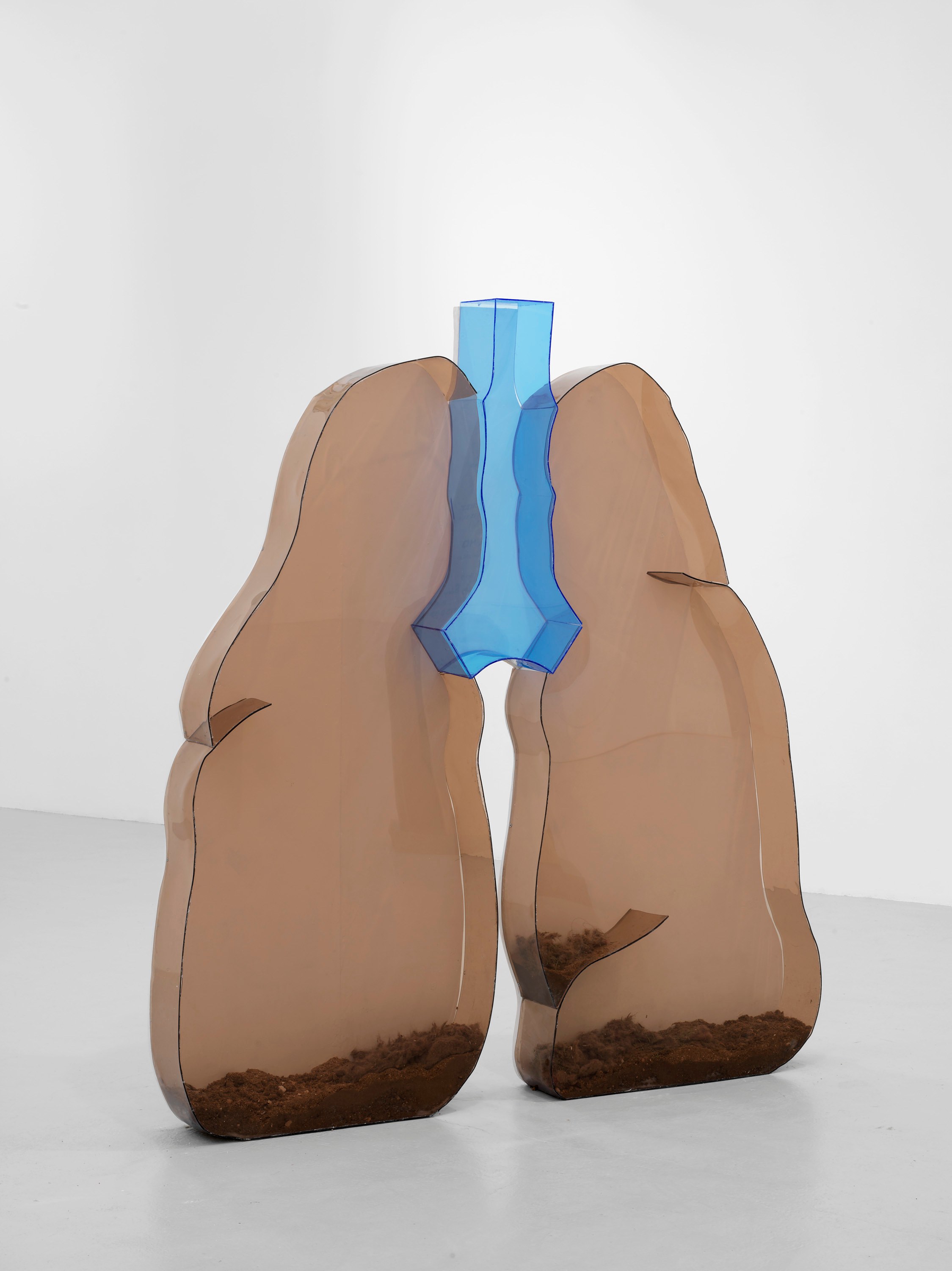 Guendalina Cerruti, Zoe Williams, Playful Agressions at greengrassi & Corvi-Mora, London, photo 28