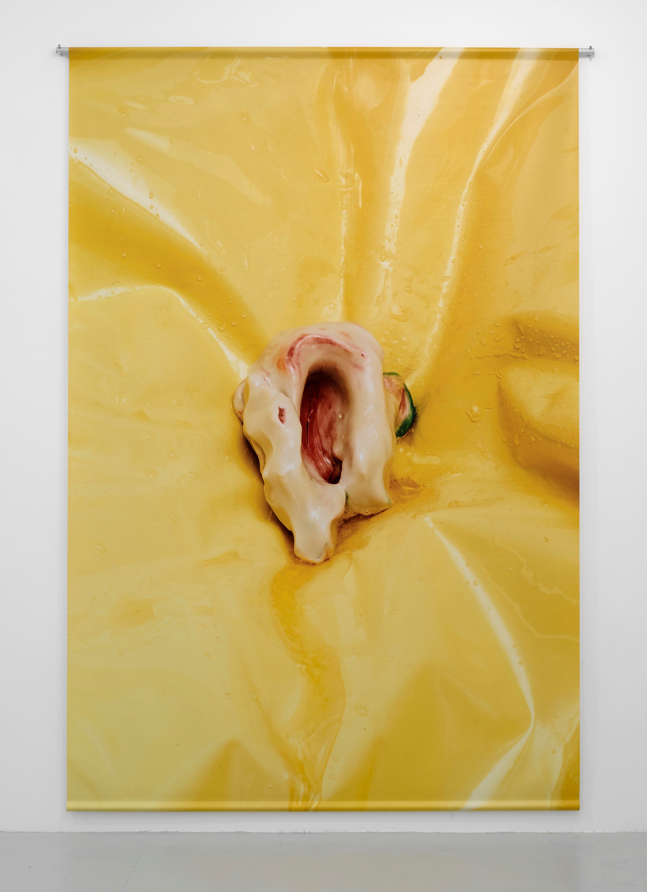 Guendalina Cerruti, Zoe Williams, Playful Agressions at greengrassi & Corvi-Mora, London, photo 30