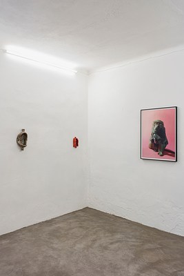 Image 6 of 20
