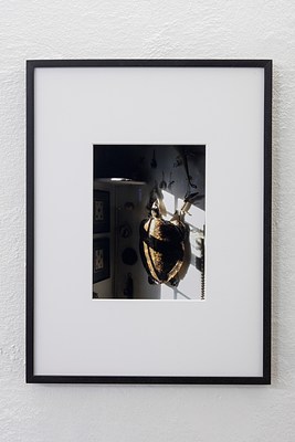 Image 9 of 20