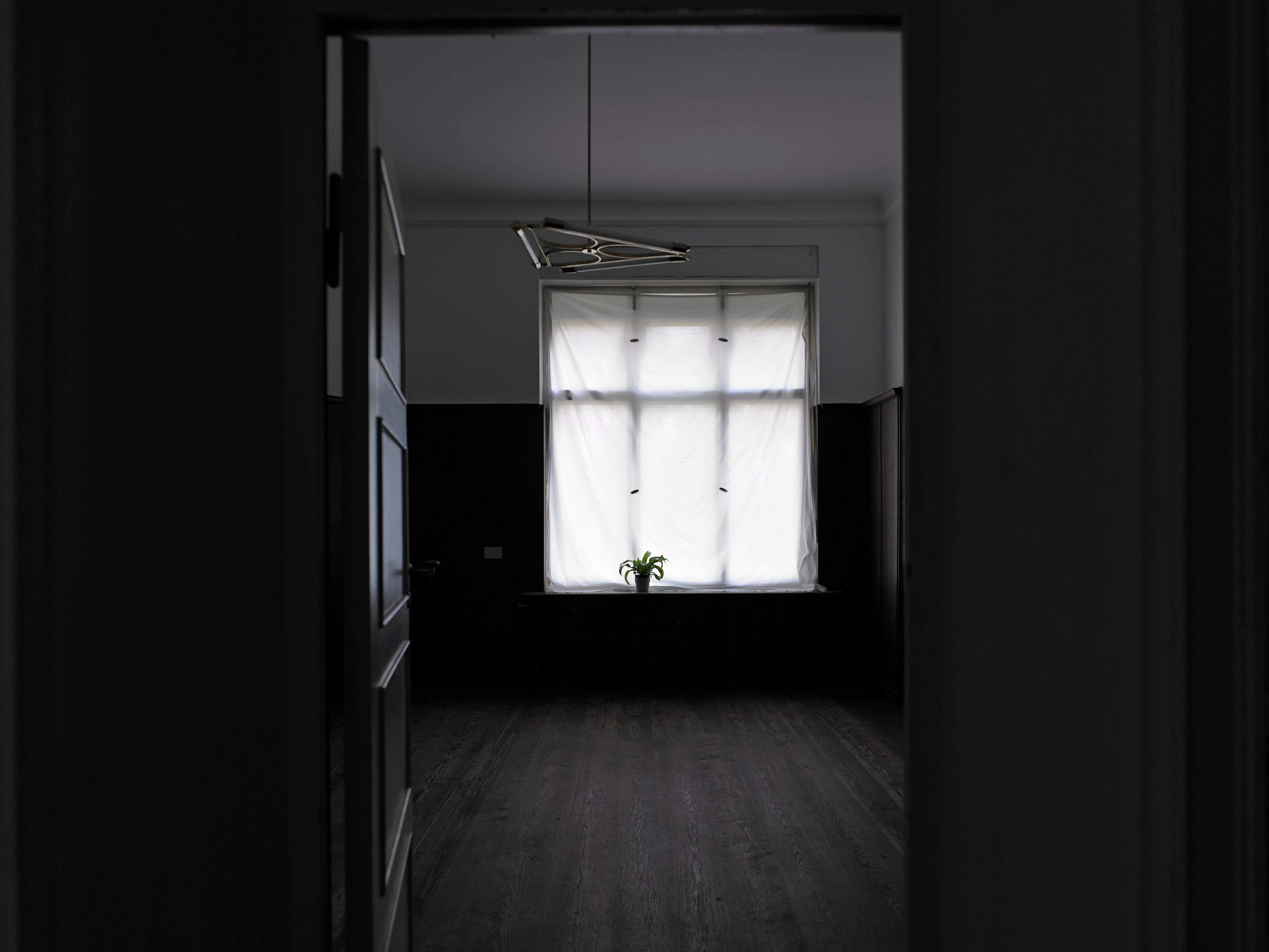 Juliette Blightman, I hope one day soon you'll come and visit me here at Isabella Bortolozzi, photo 2