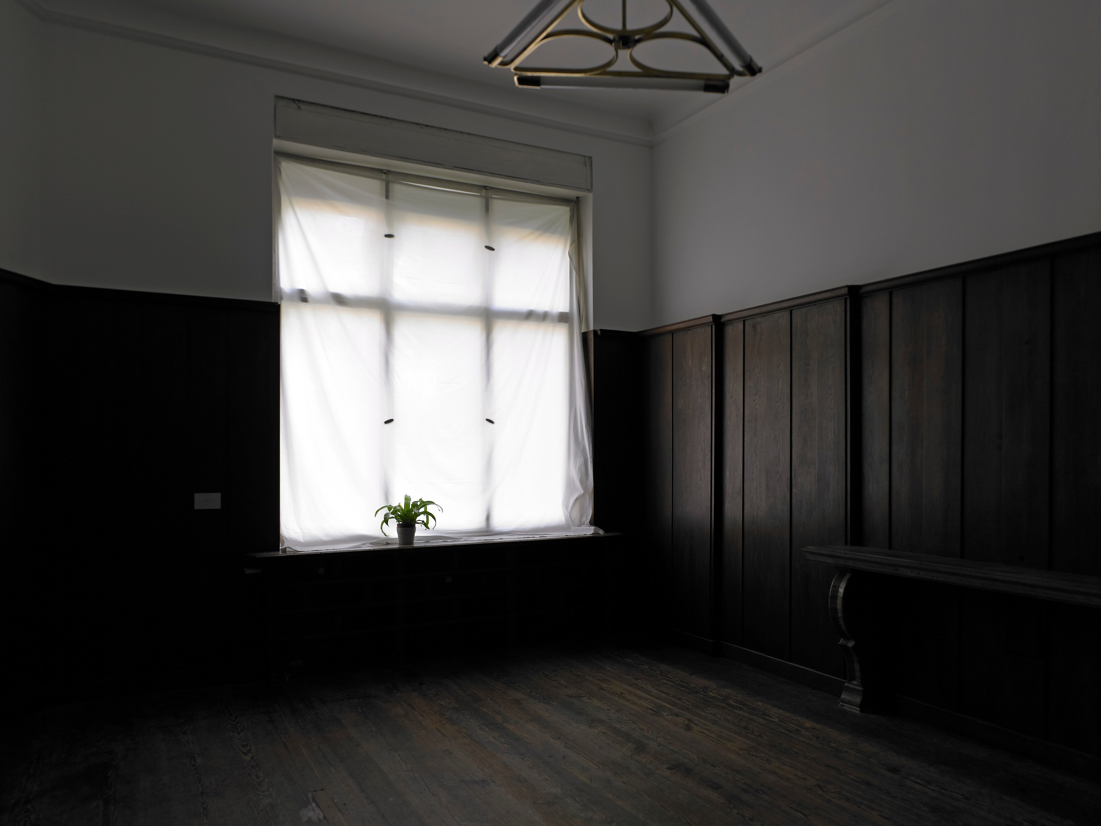 Juliette Blightman, I hope one day soon you'll come and visit me here at Isabella Bortolozzi, photo 3
