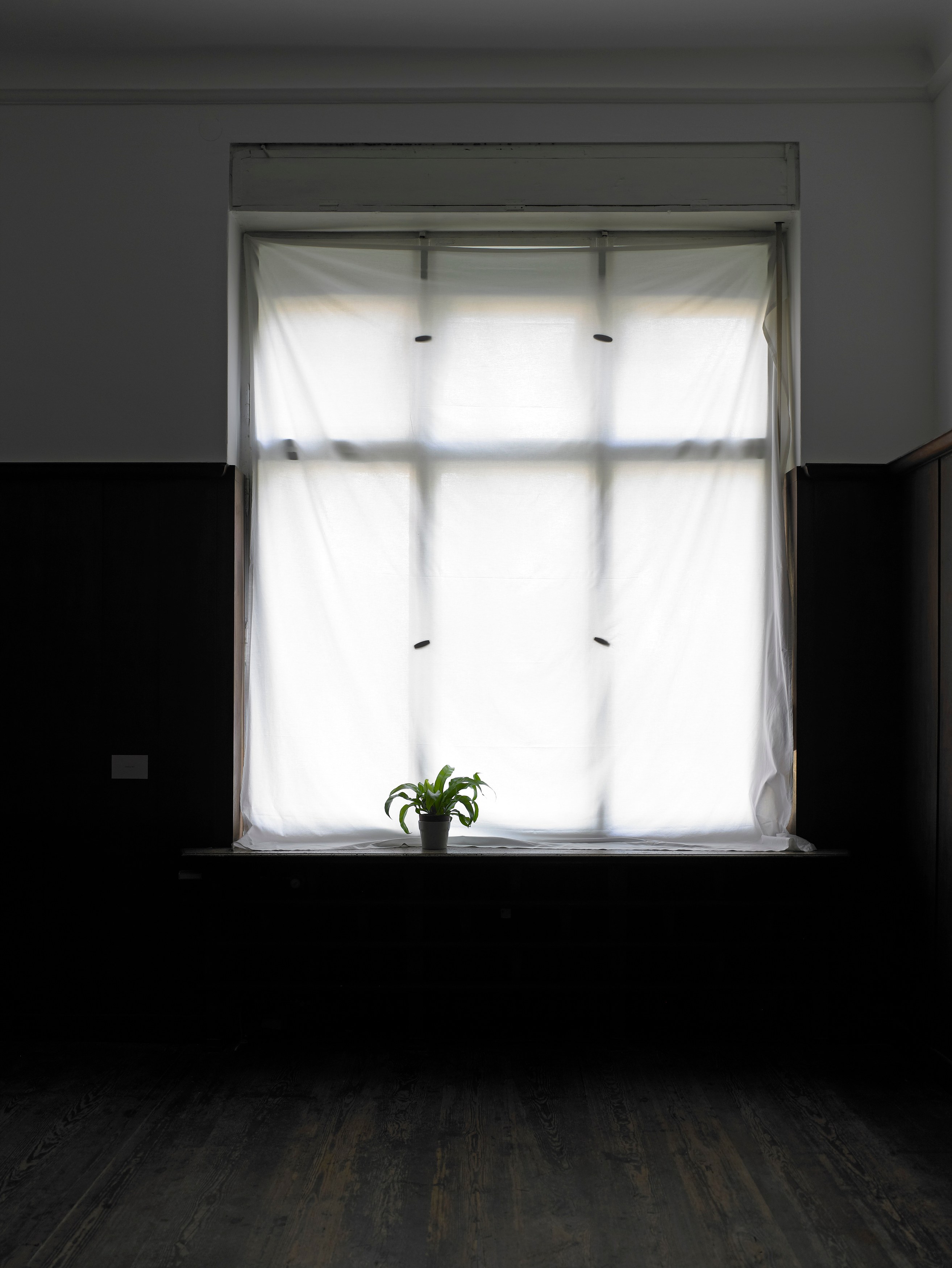 Juliette Blightman, I hope one day soon you'll come and visit me here at Isabella Bortolozzi, photo 4