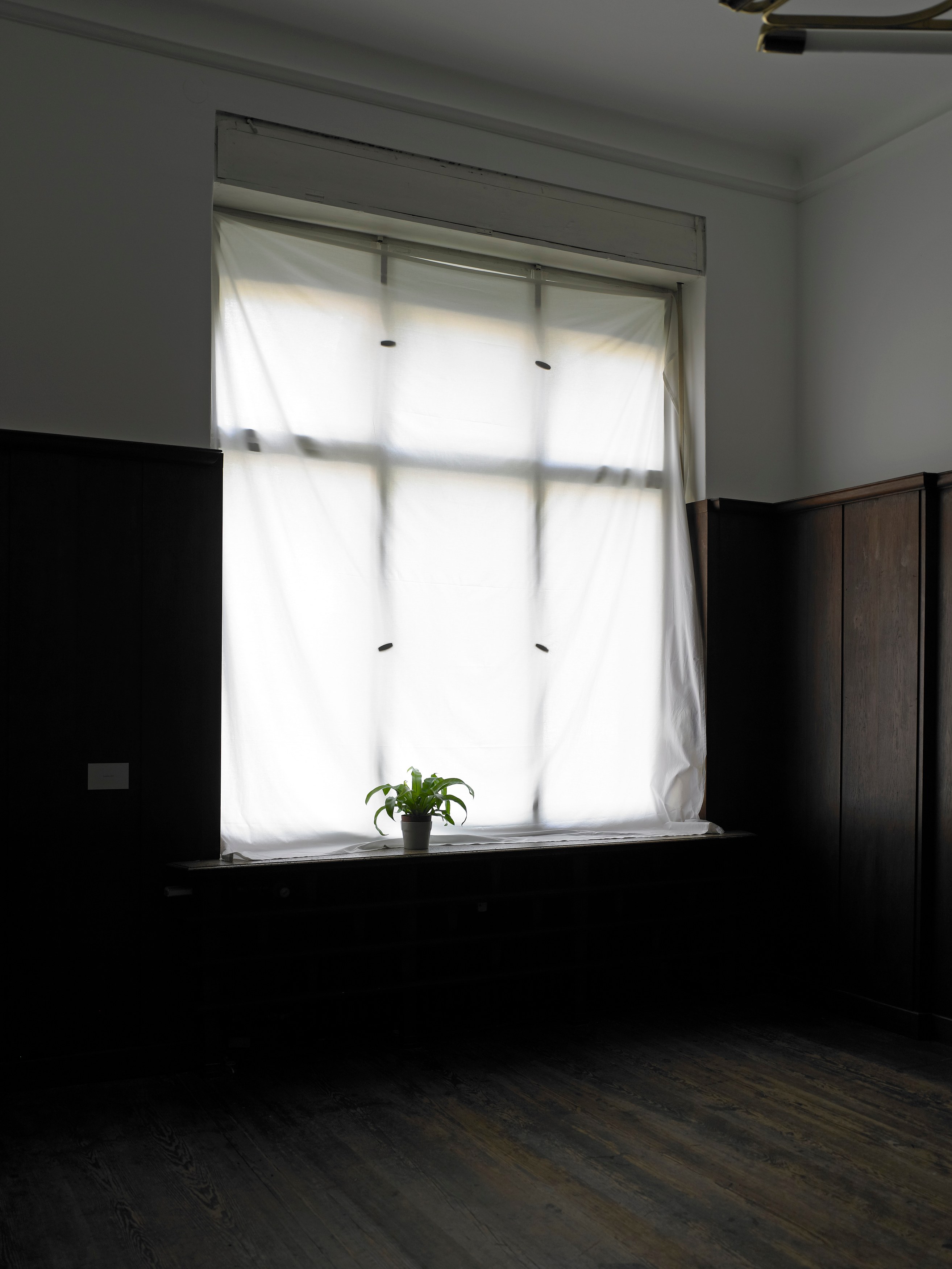 Juliette Blightman, I hope one day soon you'll come and visit me here at Isabella Bortolozzi, photo 5