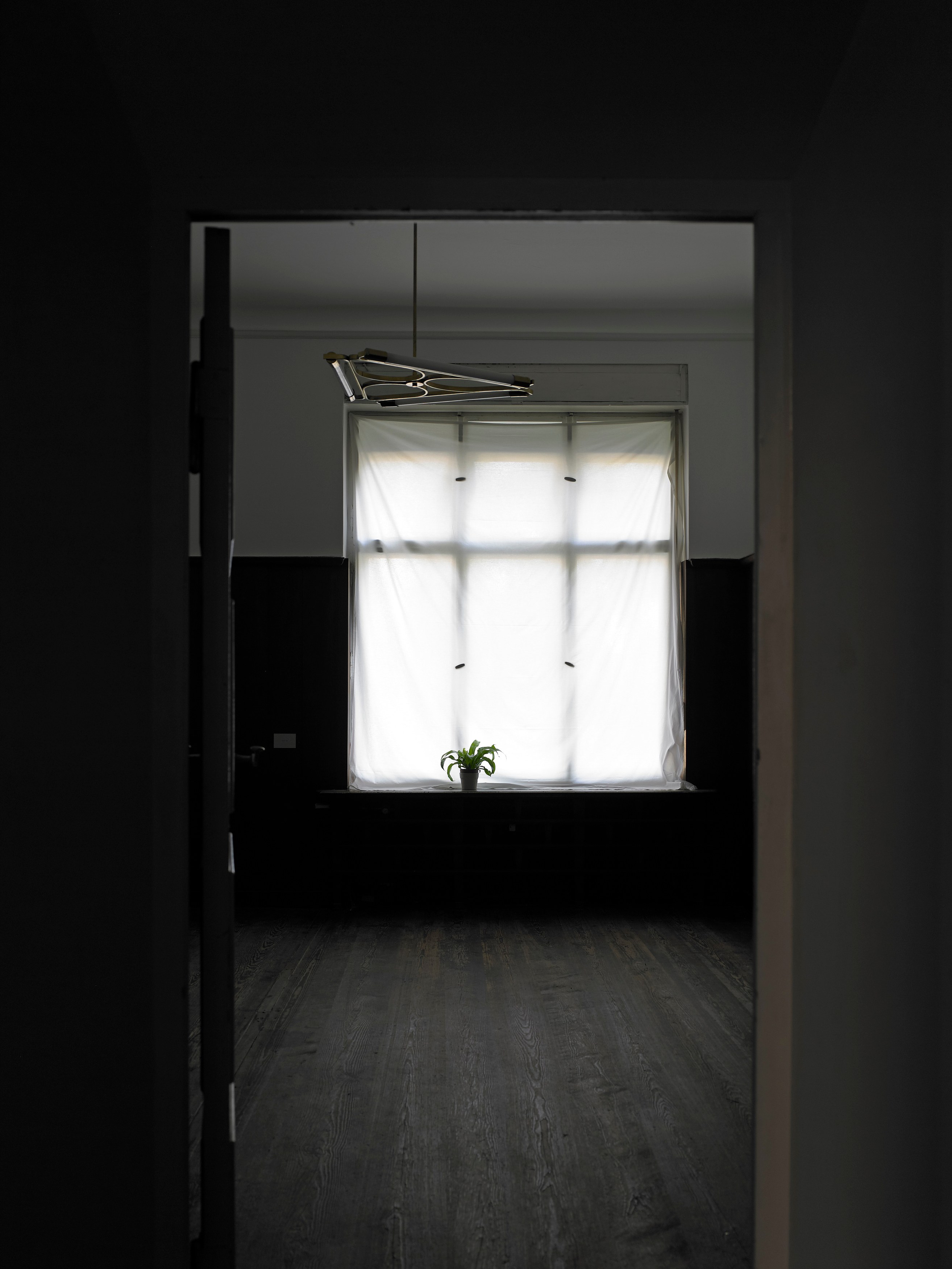 Juliette Blightman, I hope one day soon you'll come and visit me here at Isabella Bortolozzi, photo 6