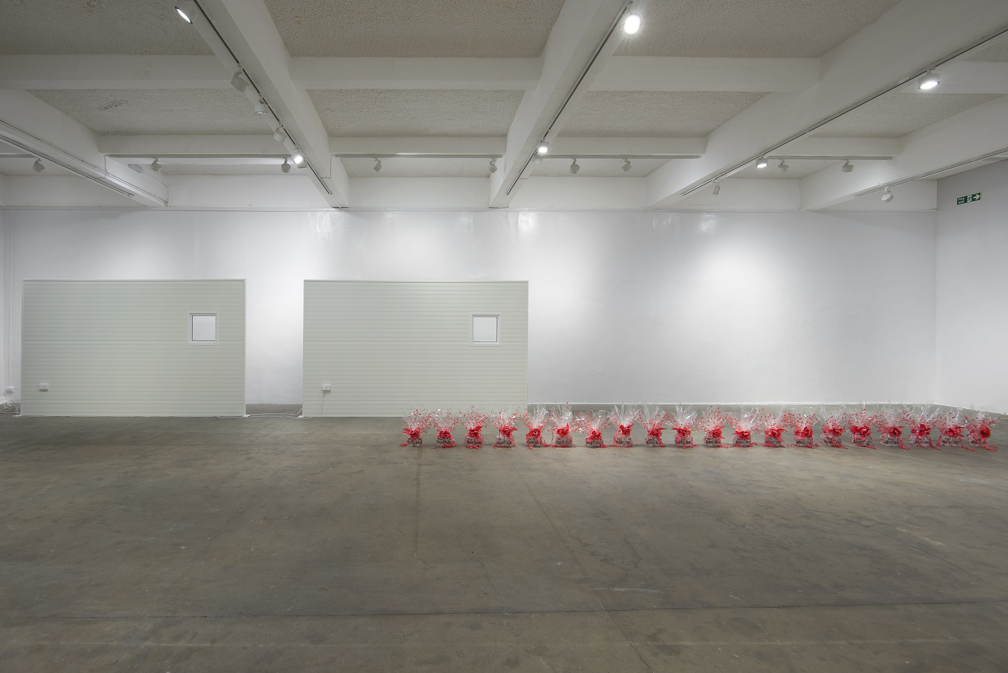 Ghislaine Leung, Constitution at Chisenhale Gallery, photo 4