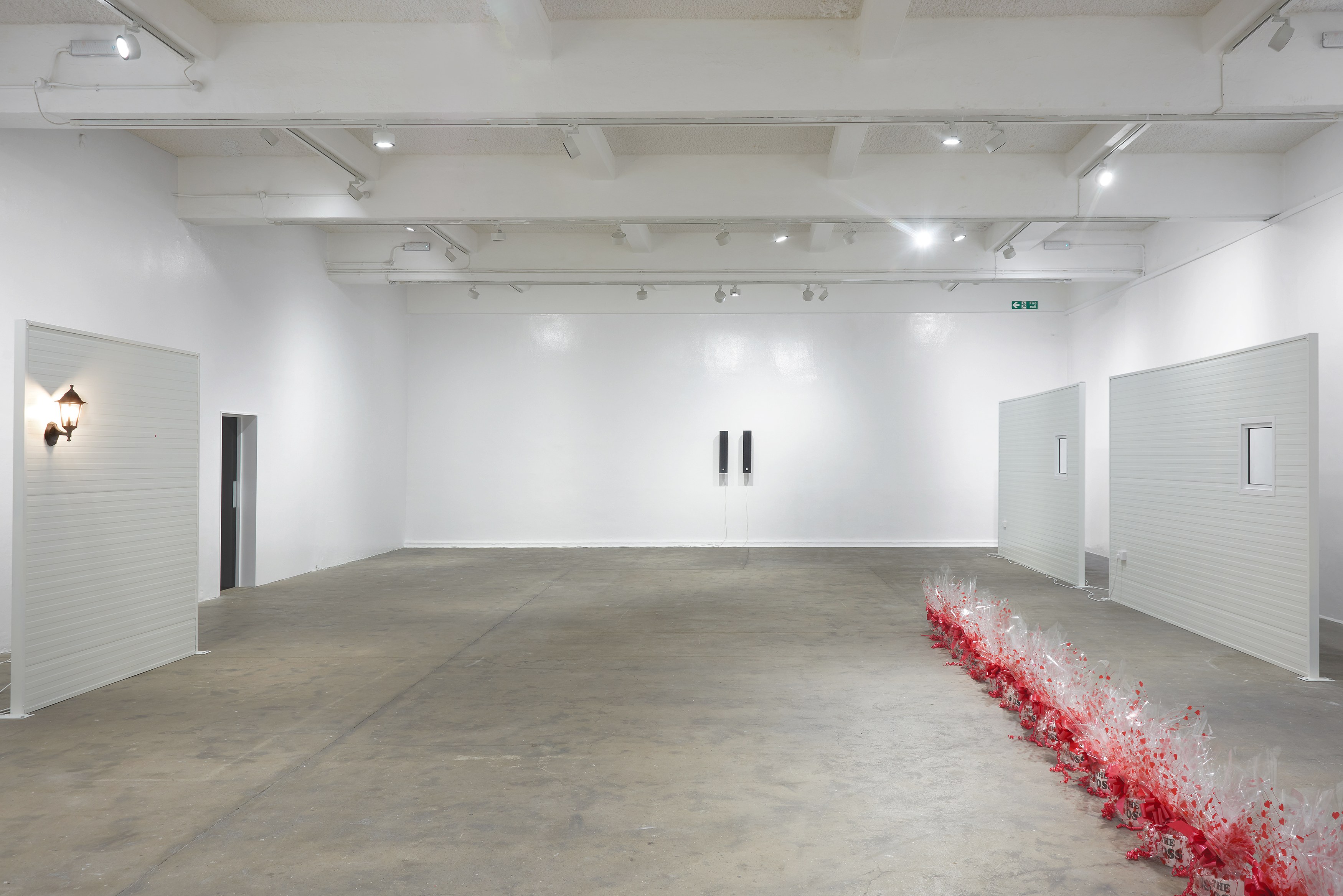 Ghislaine Leung, Constitution at Chisenhale Gallery, photo 5