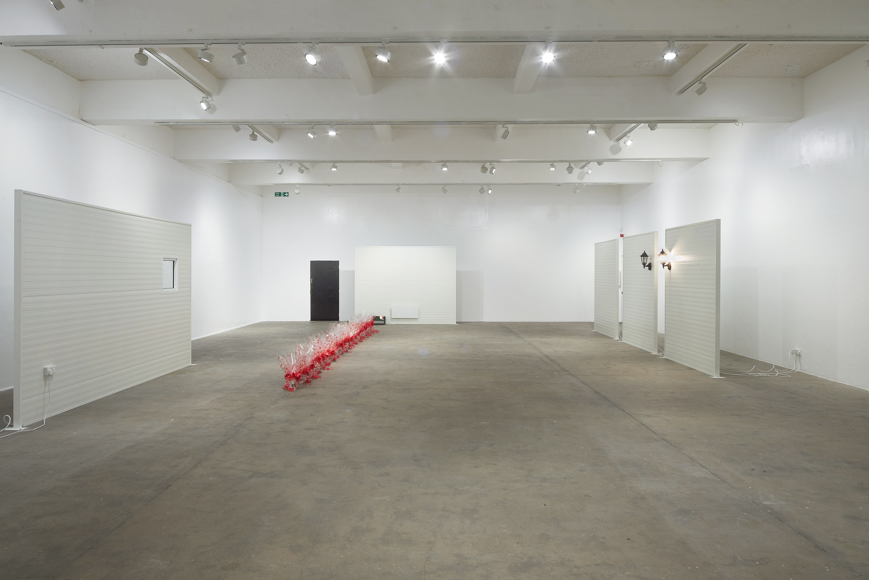 Ghislaine Leung, Constitution at Chisenhale Gallery, photo 6