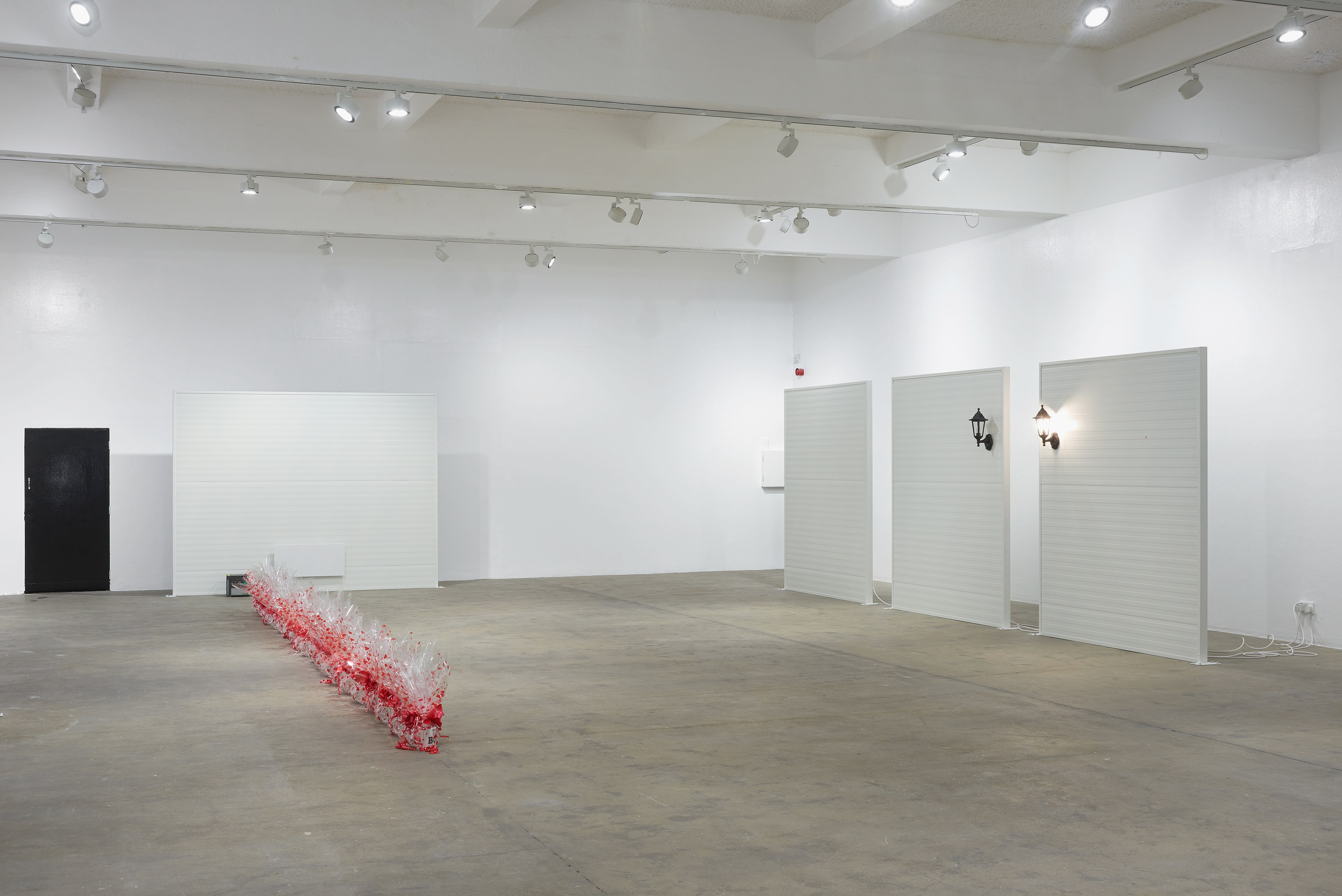 Ghislaine Leung, Constitution at Chisenhale Gallery, photo 7