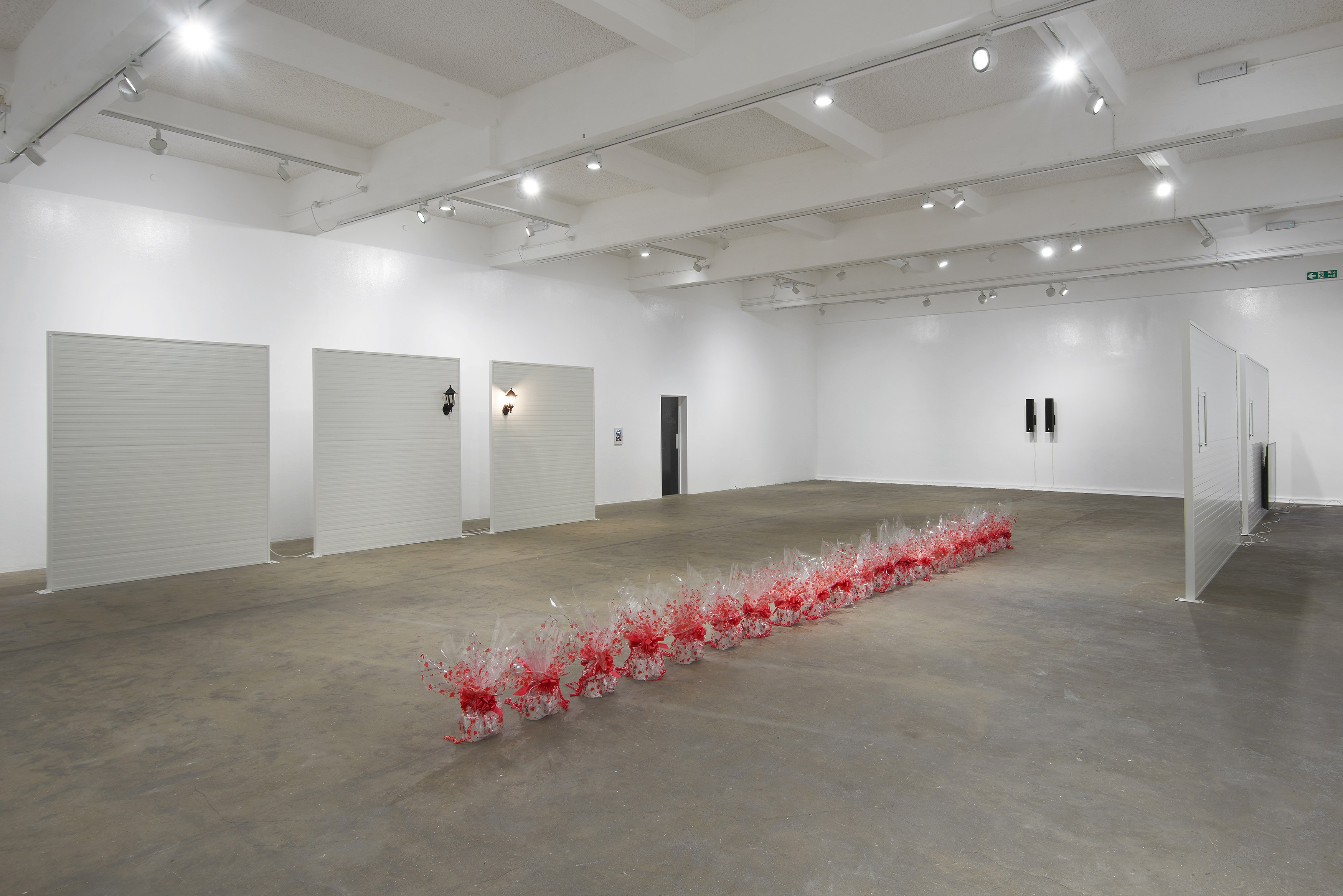 Ghislaine Leung, Constitution at Chisenhale Gallery, photo 8