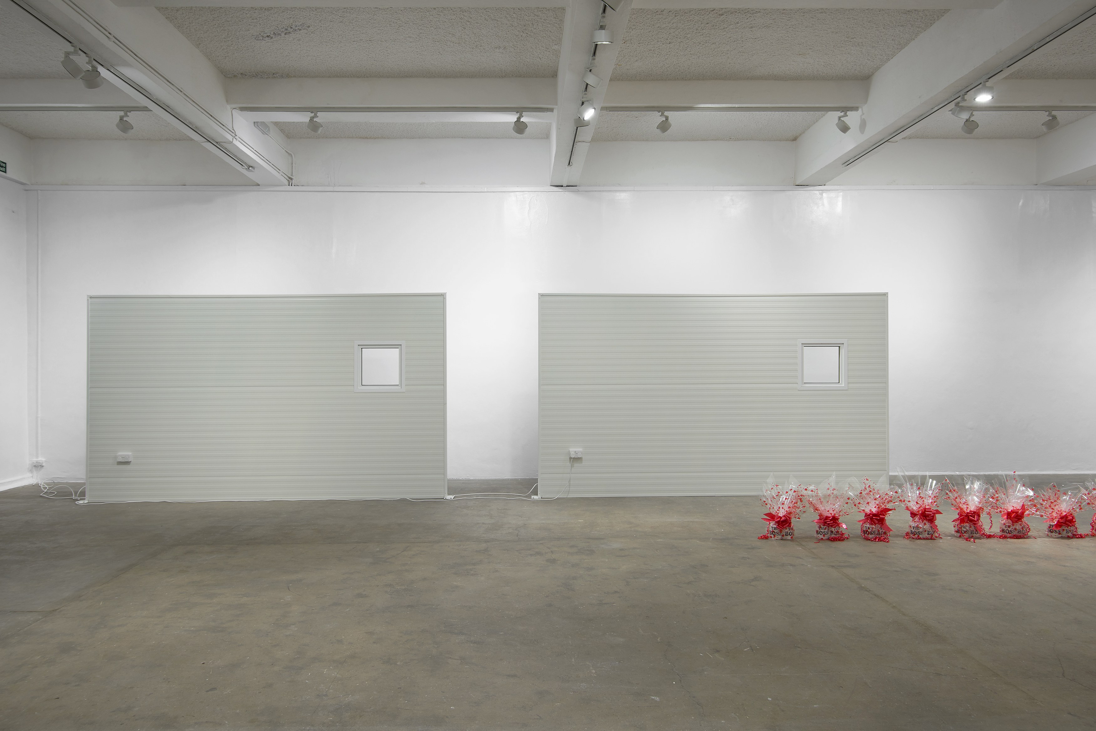 Ghislaine Leung, Constitution at Chisenhale Gallery, photo 9