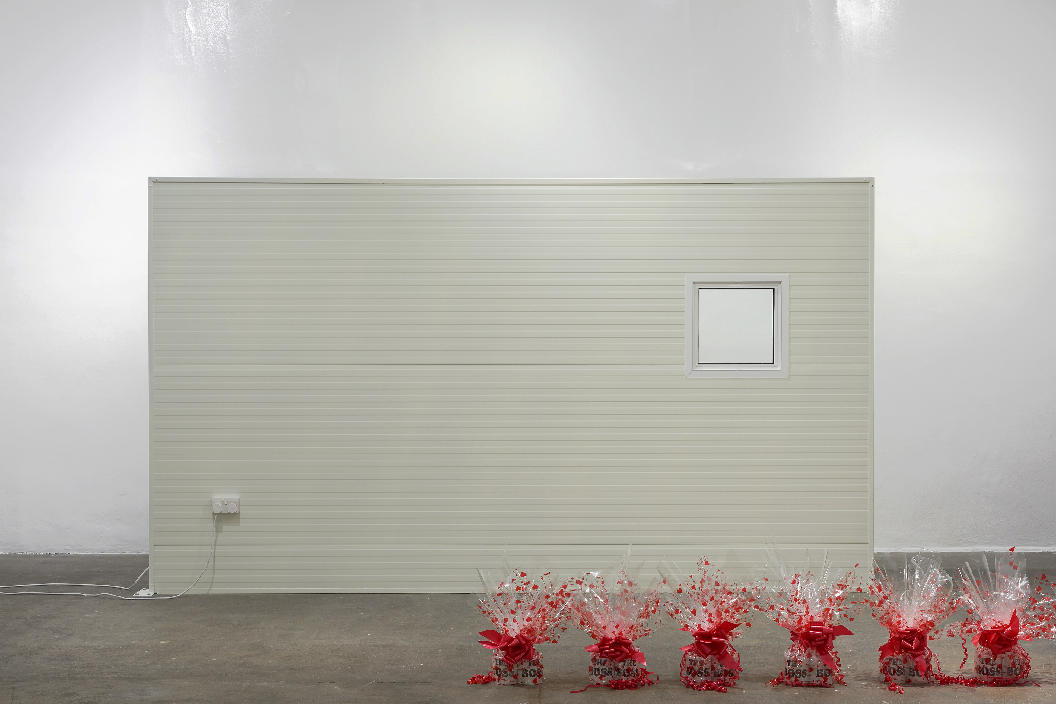 Ghislaine Leung, Constitution at Chisenhale Gallery, photo 11