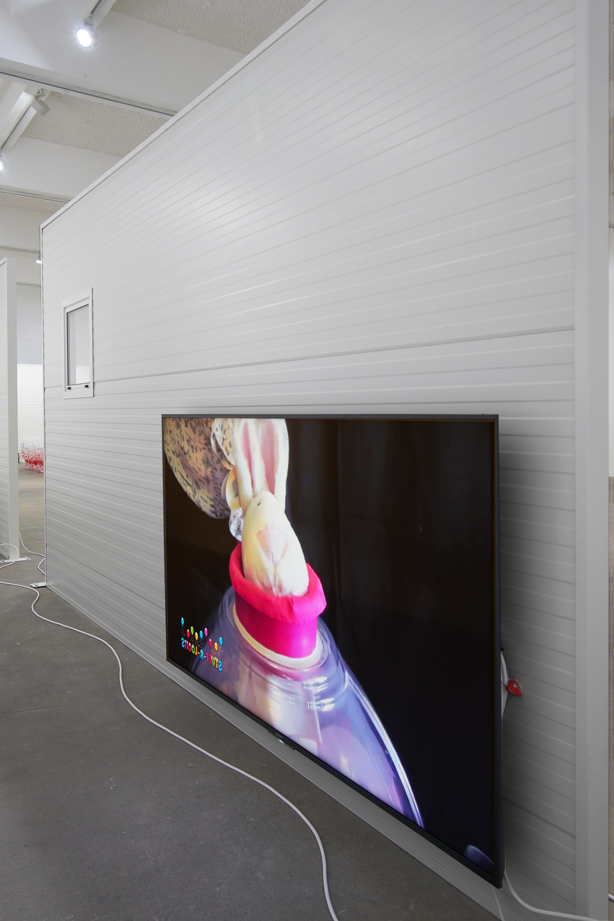 Ghislaine Leung, Constitution at Chisenhale Gallery, photo 16
