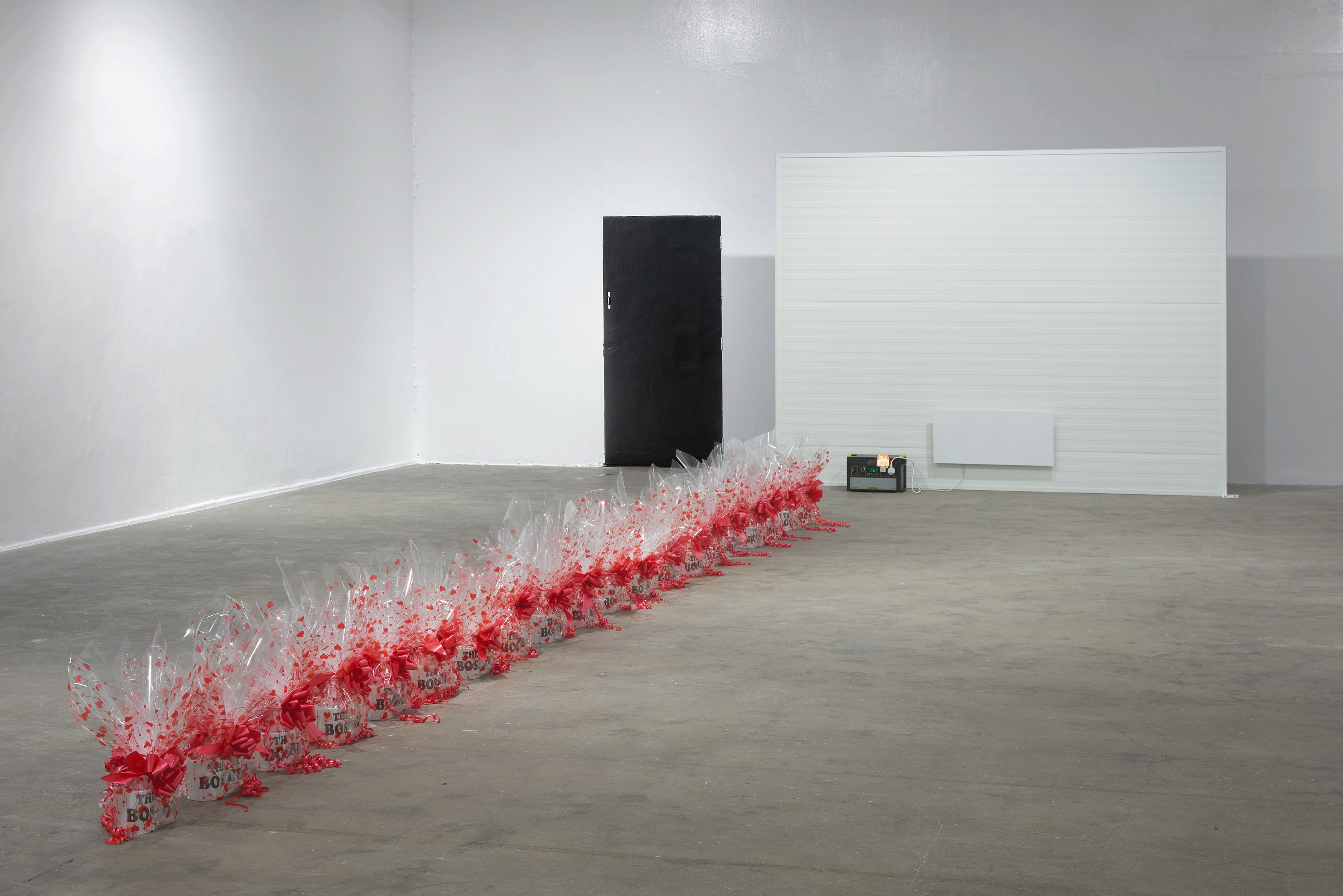 Ghislaine Leung, Constitution at Chisenhale Gallery, photo 20