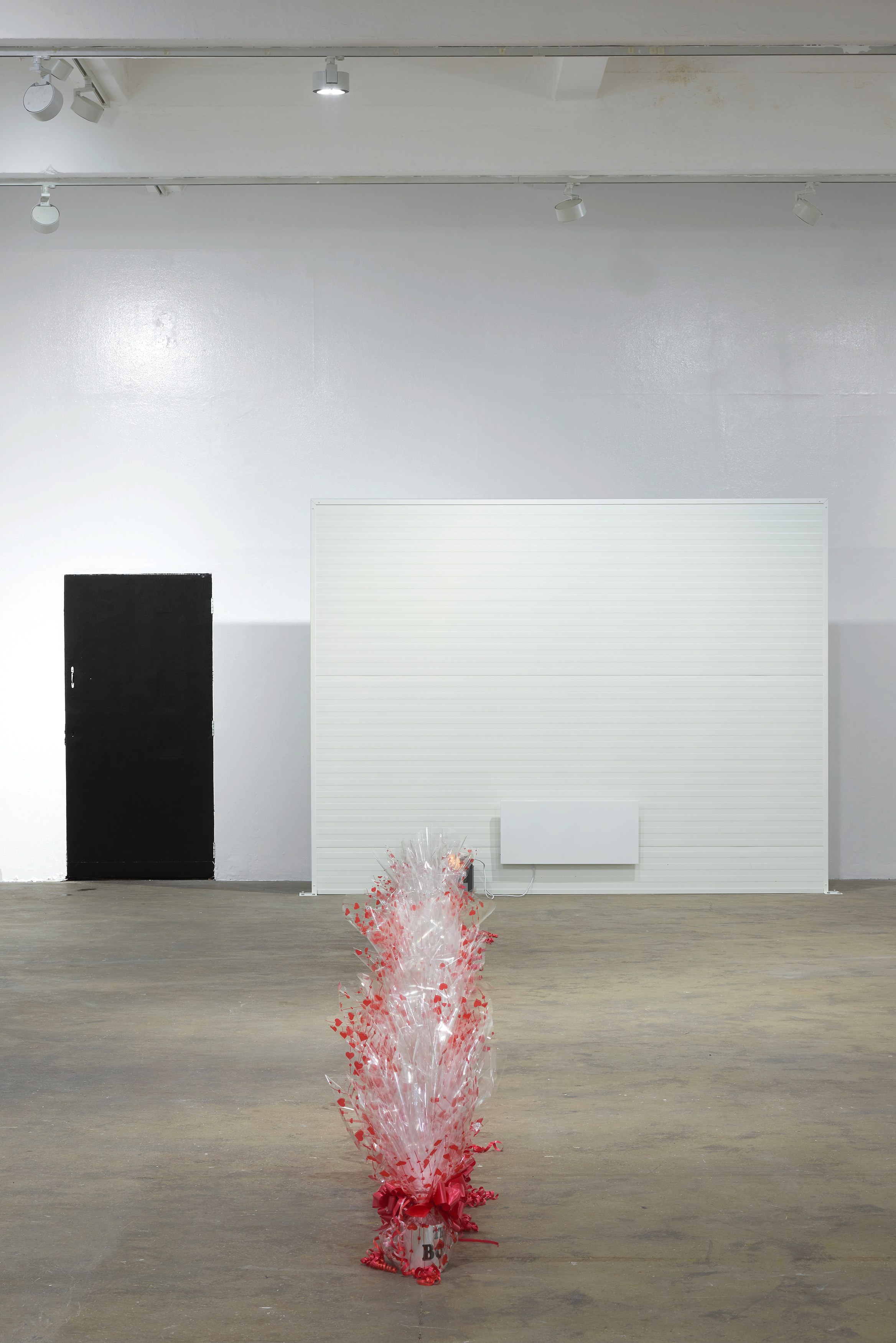 Ghislaine Leung, Constitution at Chisenhale Gallery, photo 21