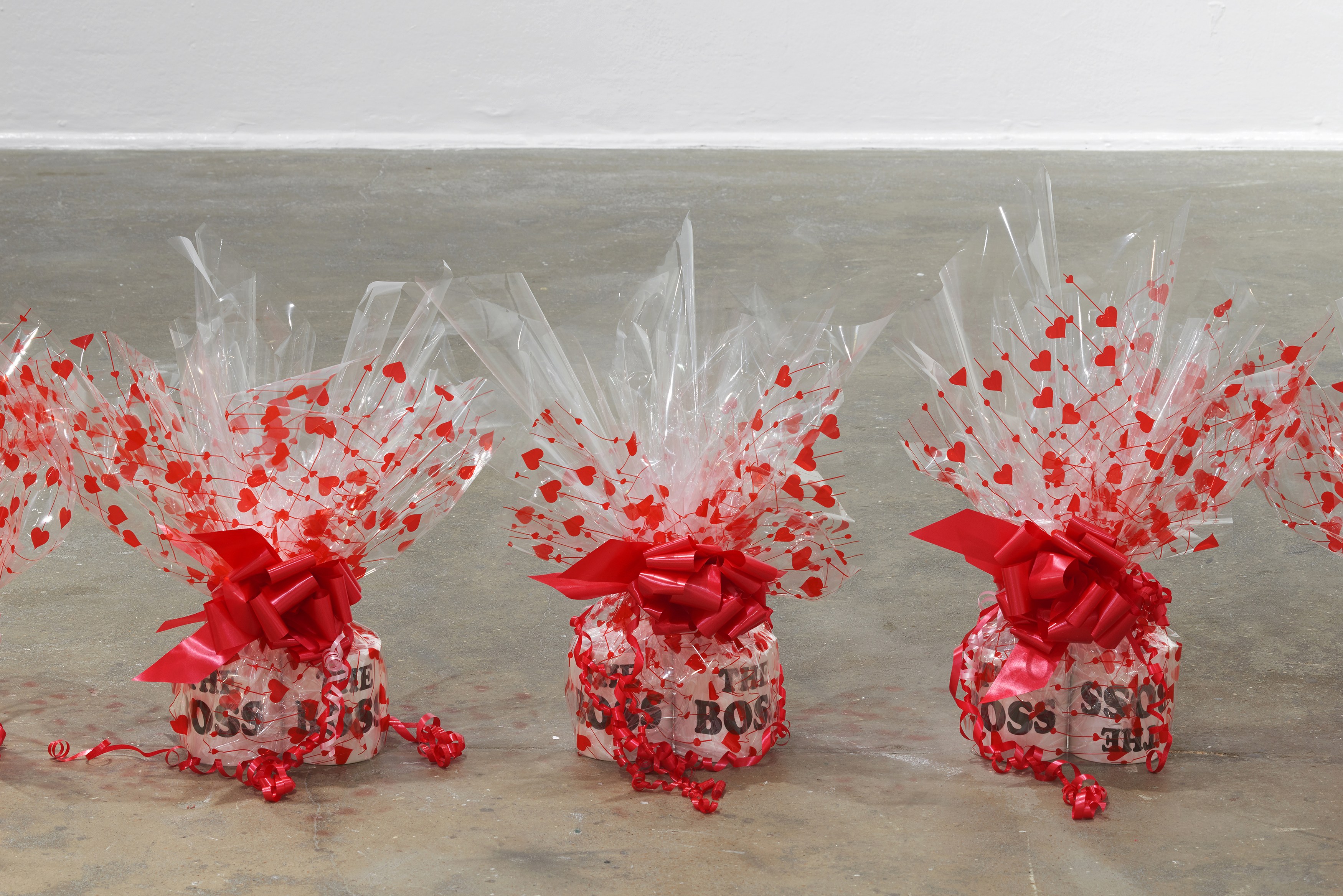 Ghislaine Leung, Constitution at Chisenhale Gallery, photo 22