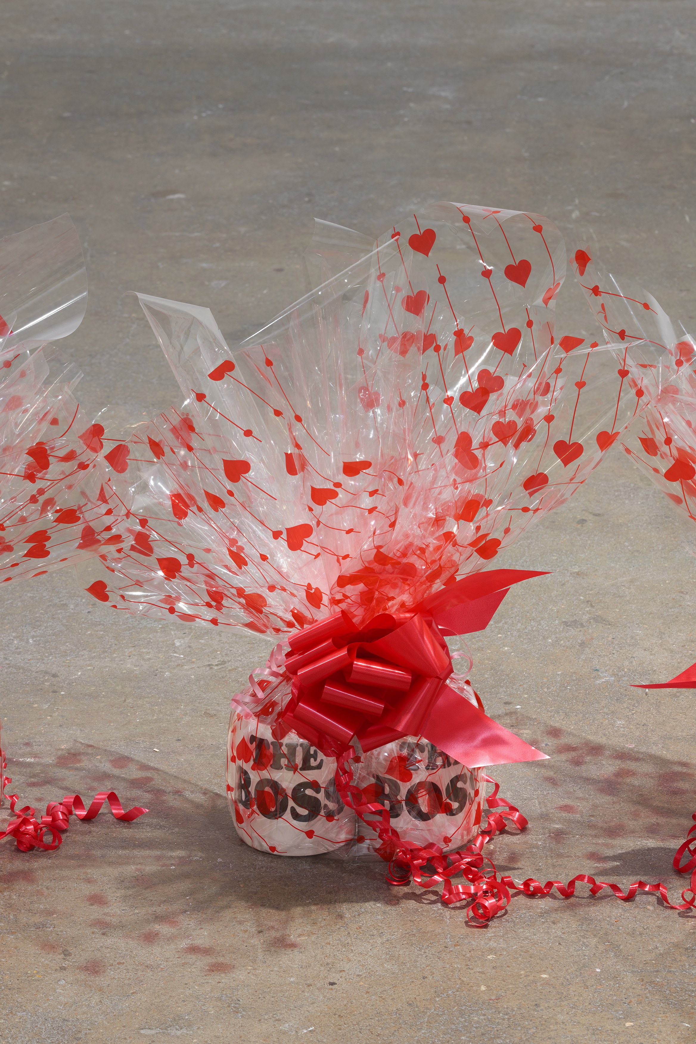 Ghislaine Leung, Constitution at Chisenhale Gallery, photo 23