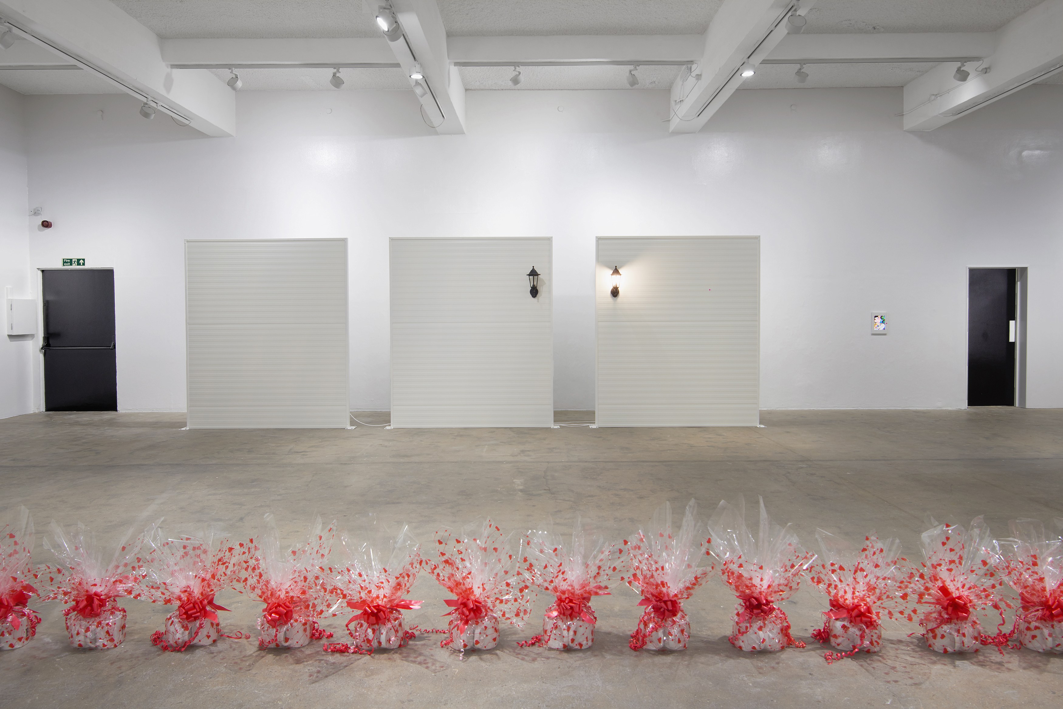 Ghislaine Leung, Constitution at Chisenhale Gallery, photo 28