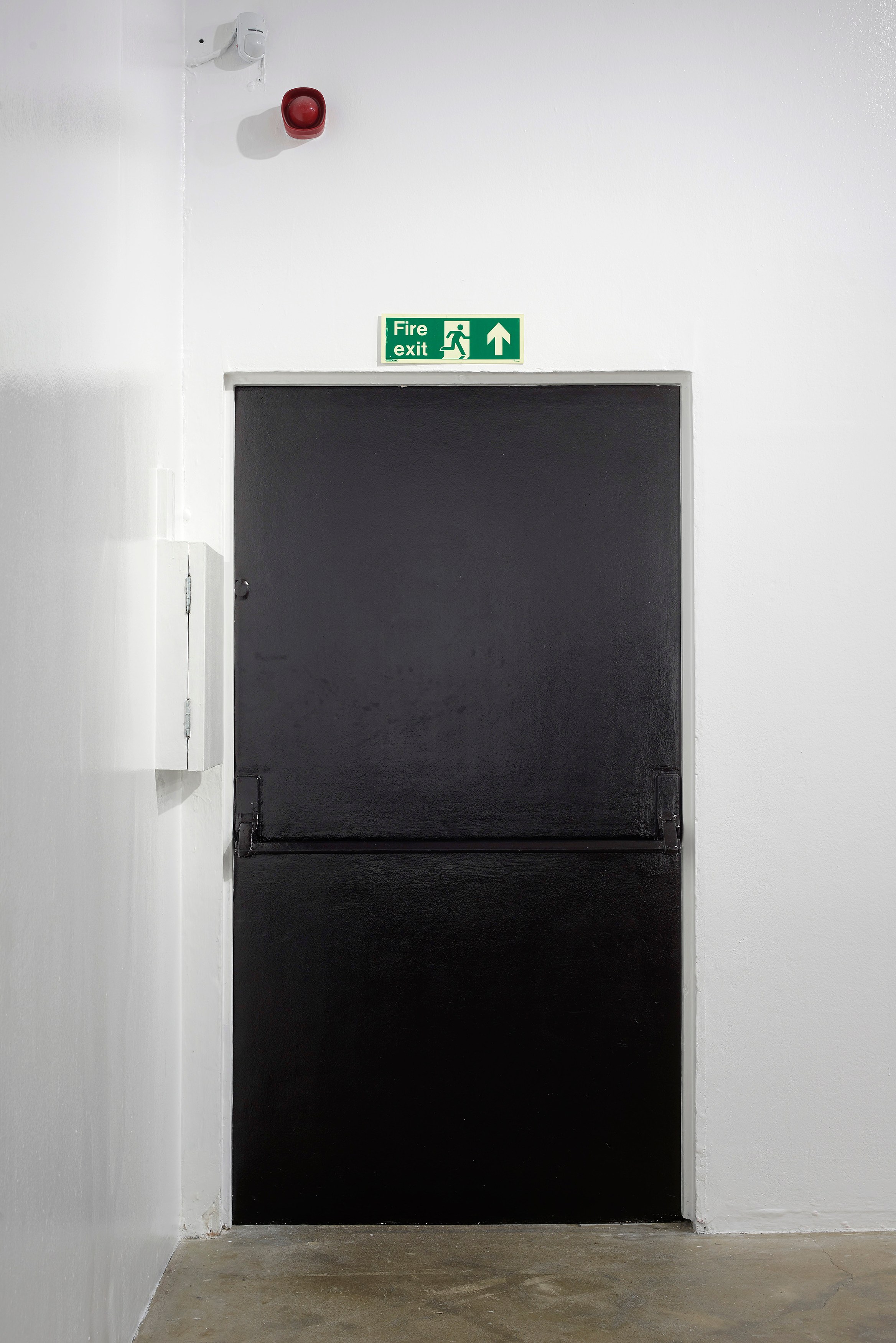 Ghislaine Leung, Constitution at Chisenhale Gallery, photo 29