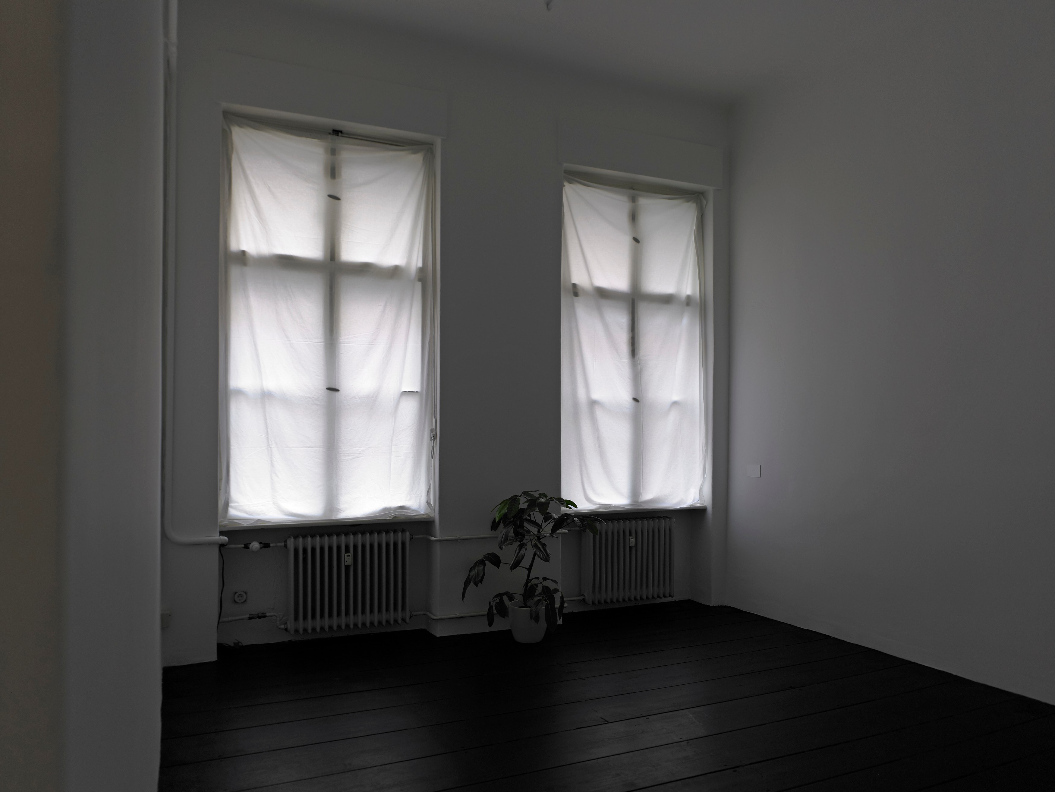 Juliette Blightman, I hope one day soon you'll come and visit me here at Isabella Bortolozzi, photo 13